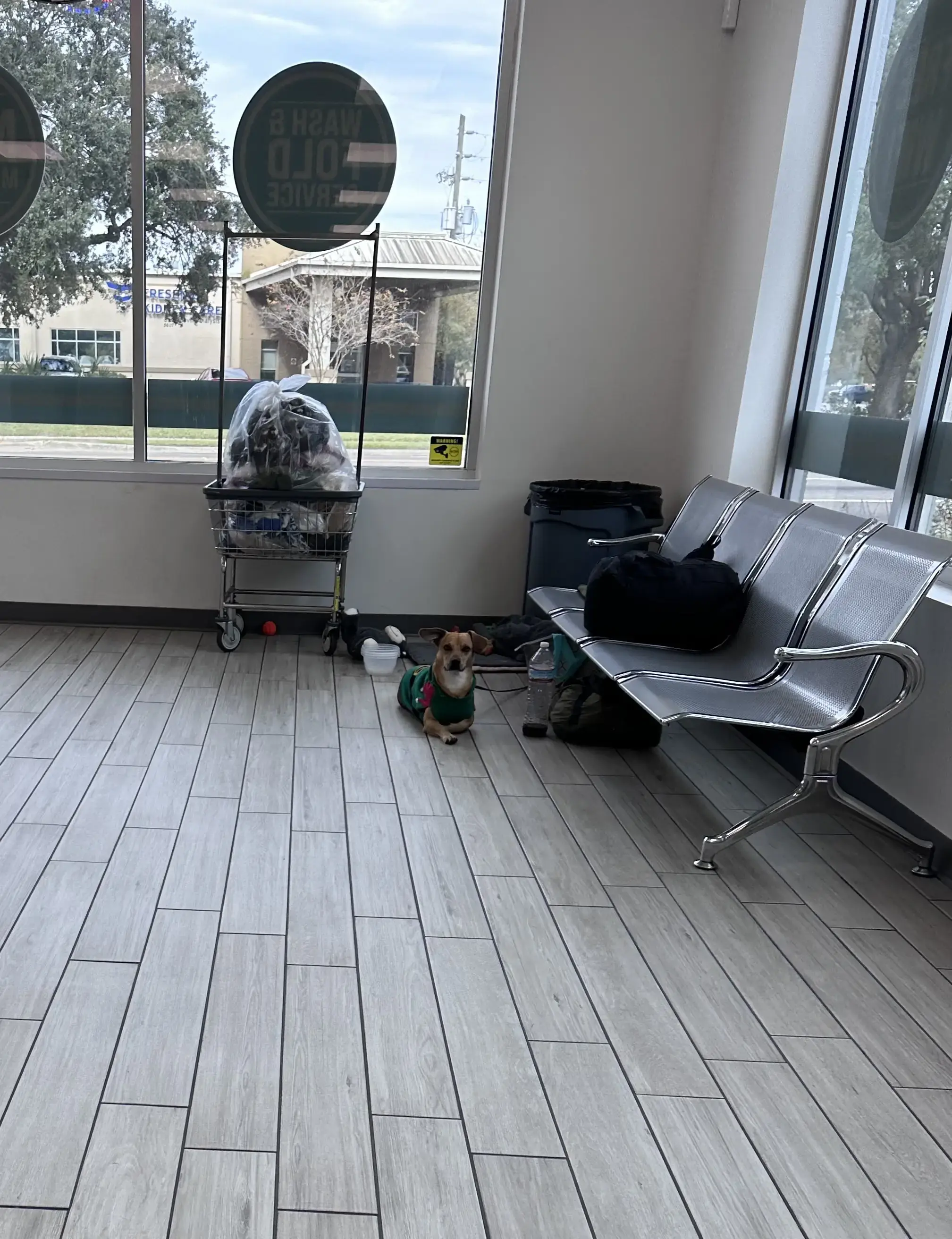 Spritzy Laundromat thumbnail 3