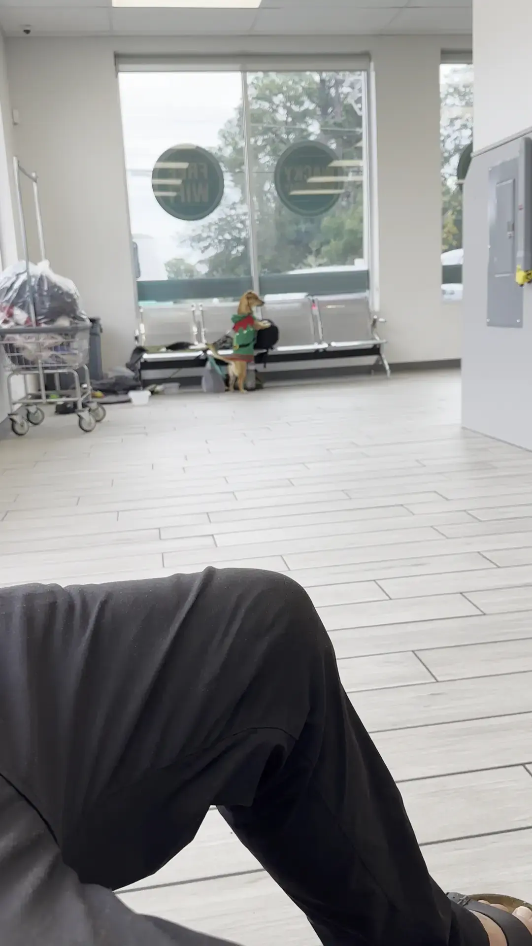 Spritzy Laundromat thumbnail 19