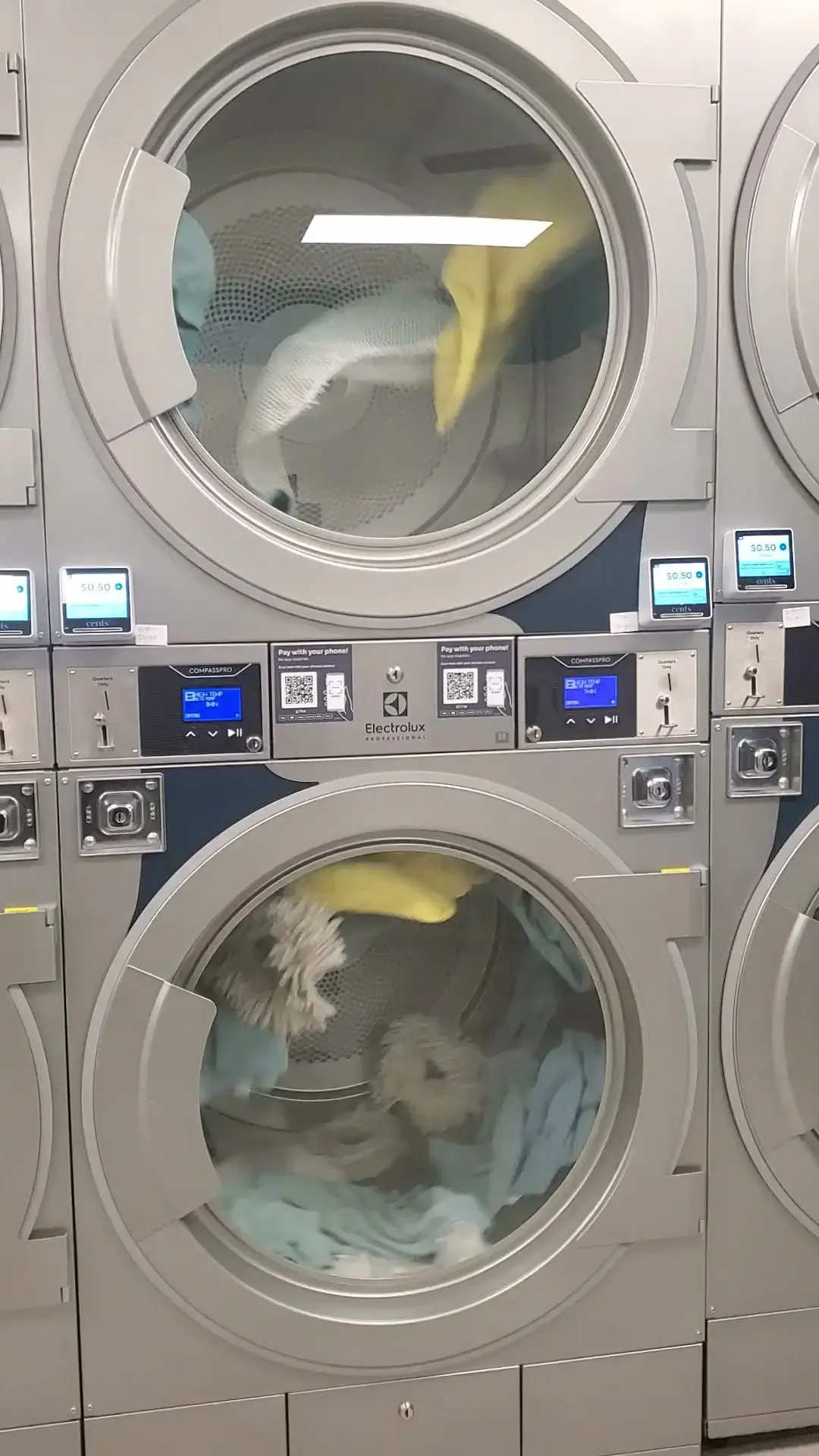 Squeaky Bees Laundromat & Wash and Fold - Image 2