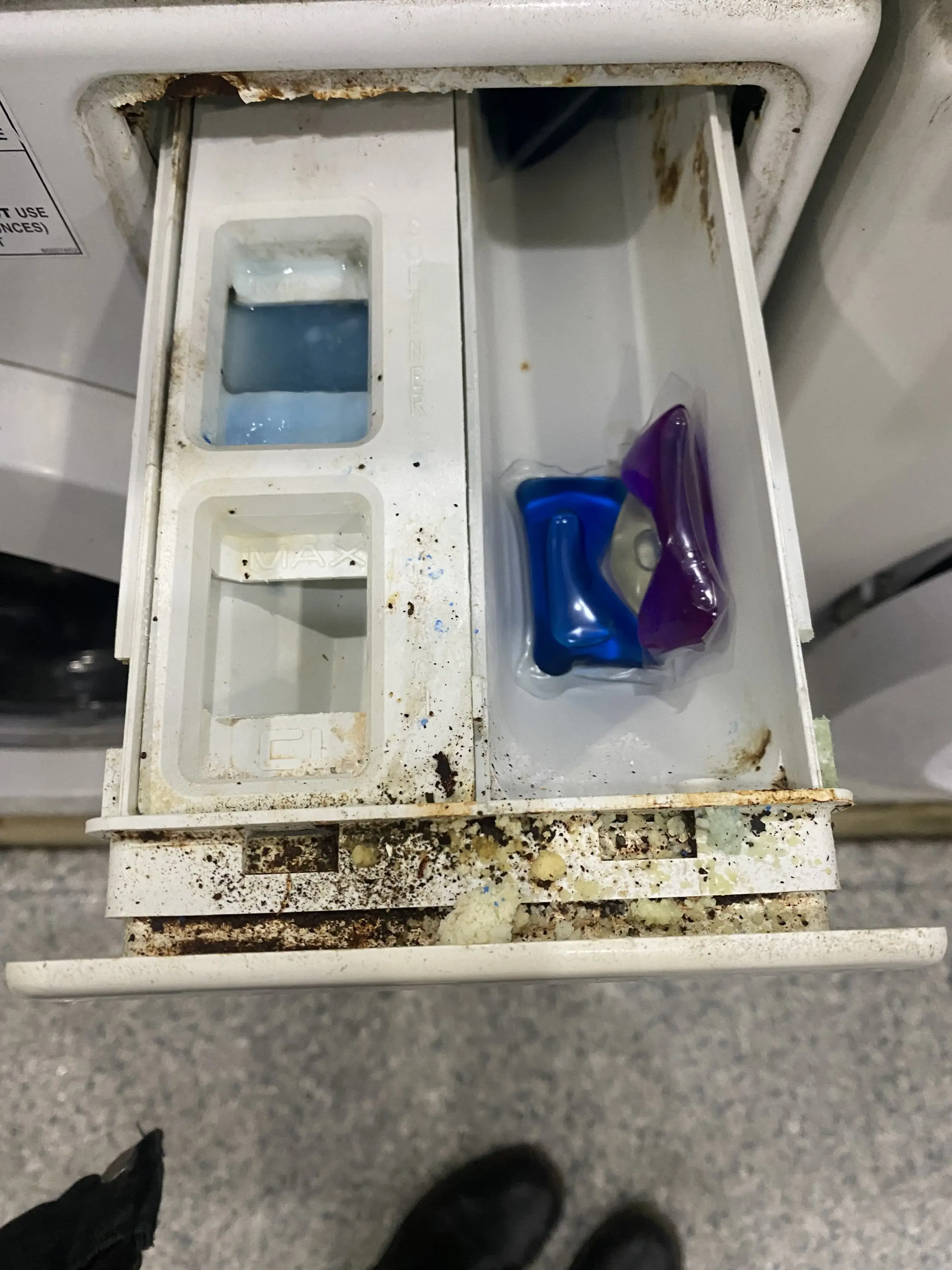 Squeaky Klean Laundromat - Image 2
