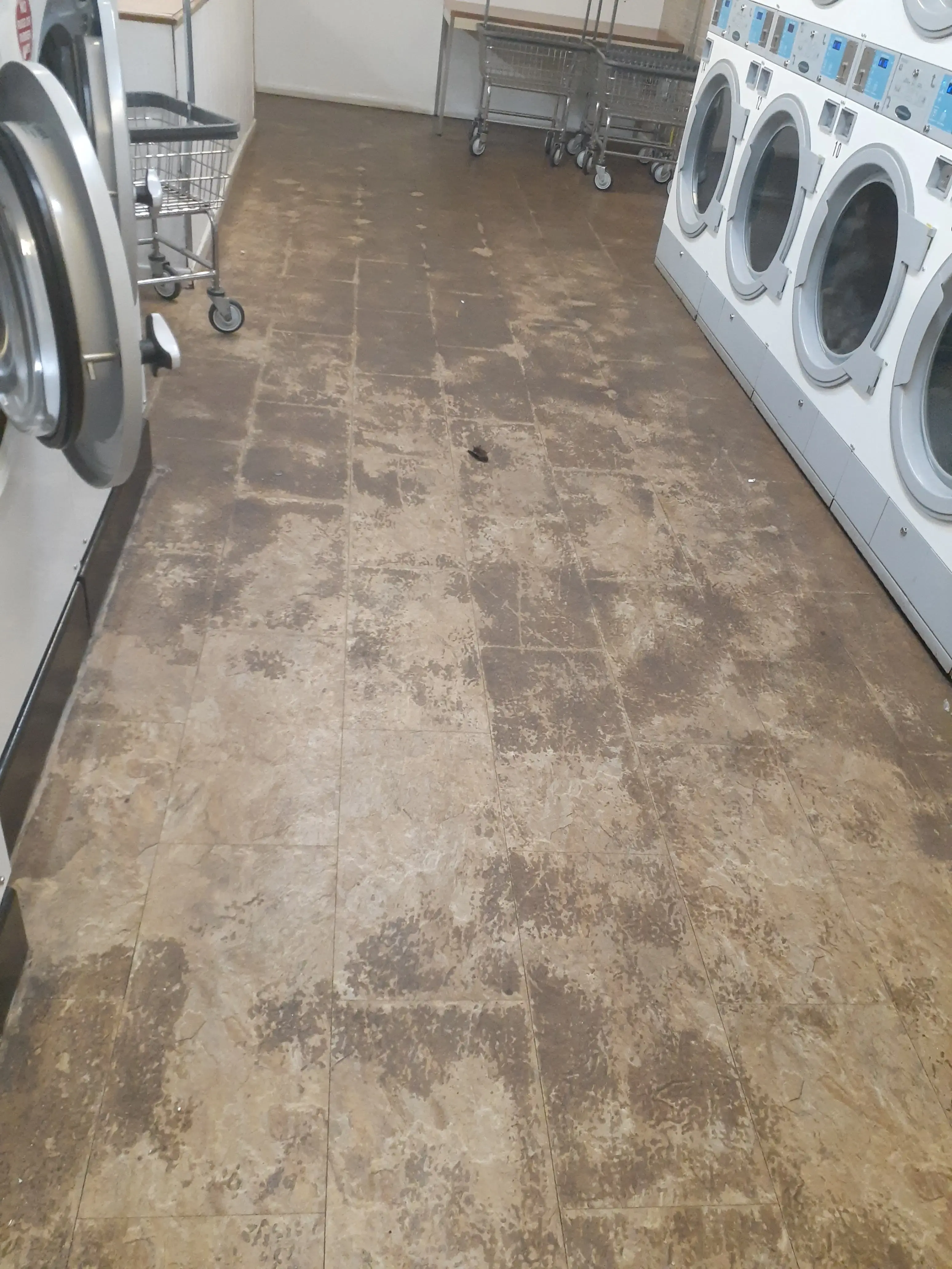 St. Clair Laundry Room thumbnail 17