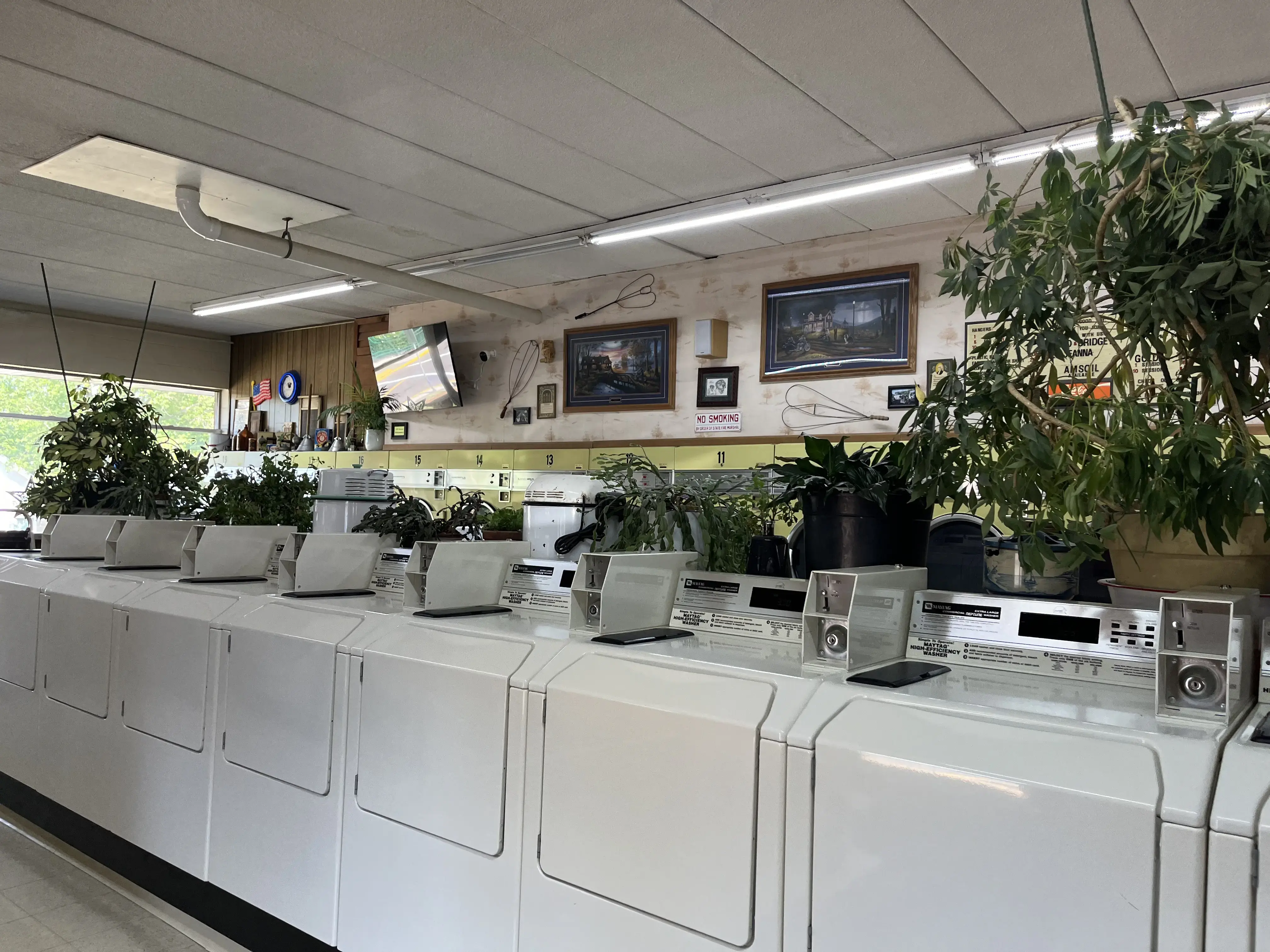 St Croix Laundry & Carwash Laundromat-Tanning - Image 2