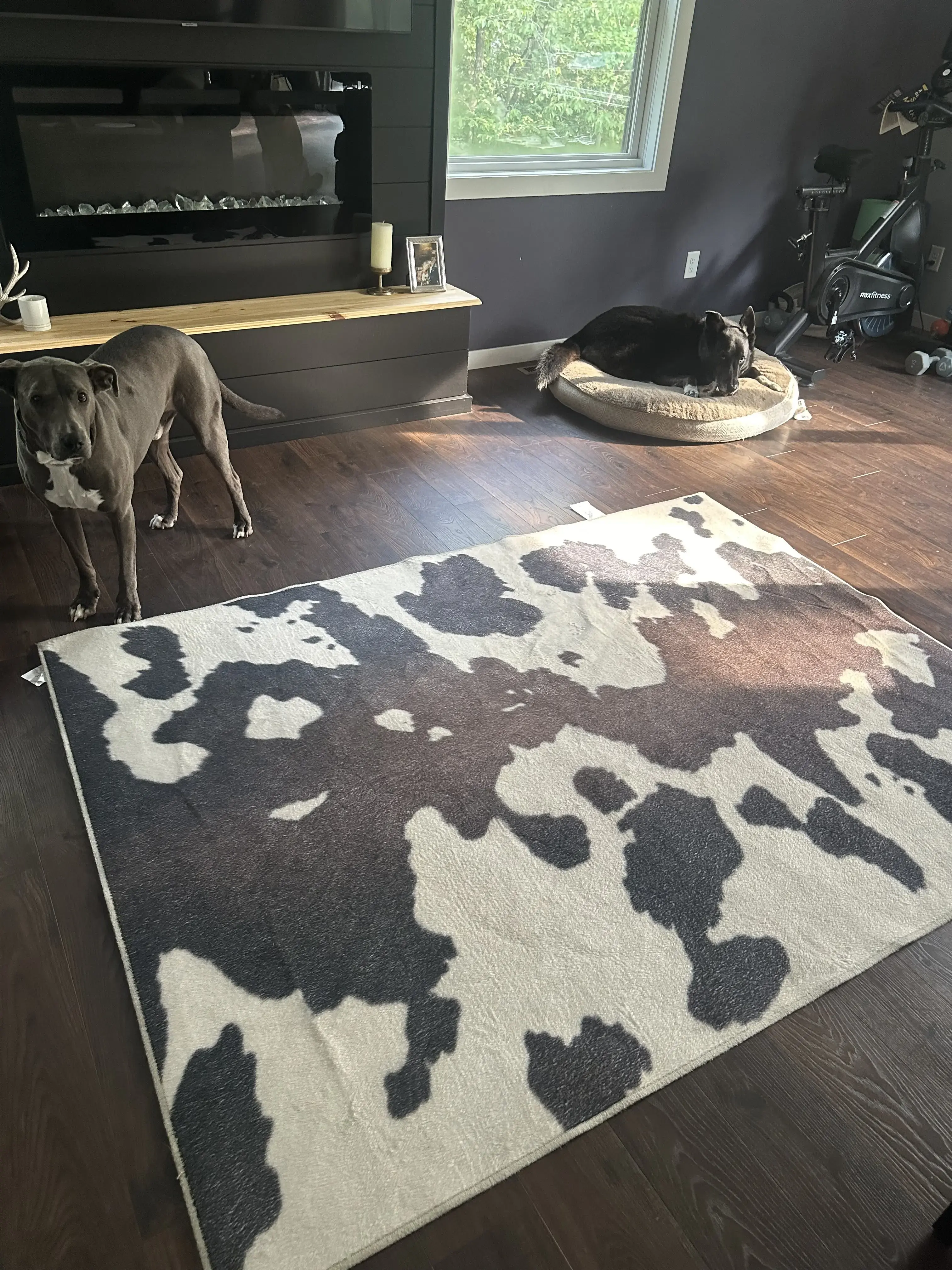 St Croix Laundry & Carwash Laundromat-Tanning thumbnail 10