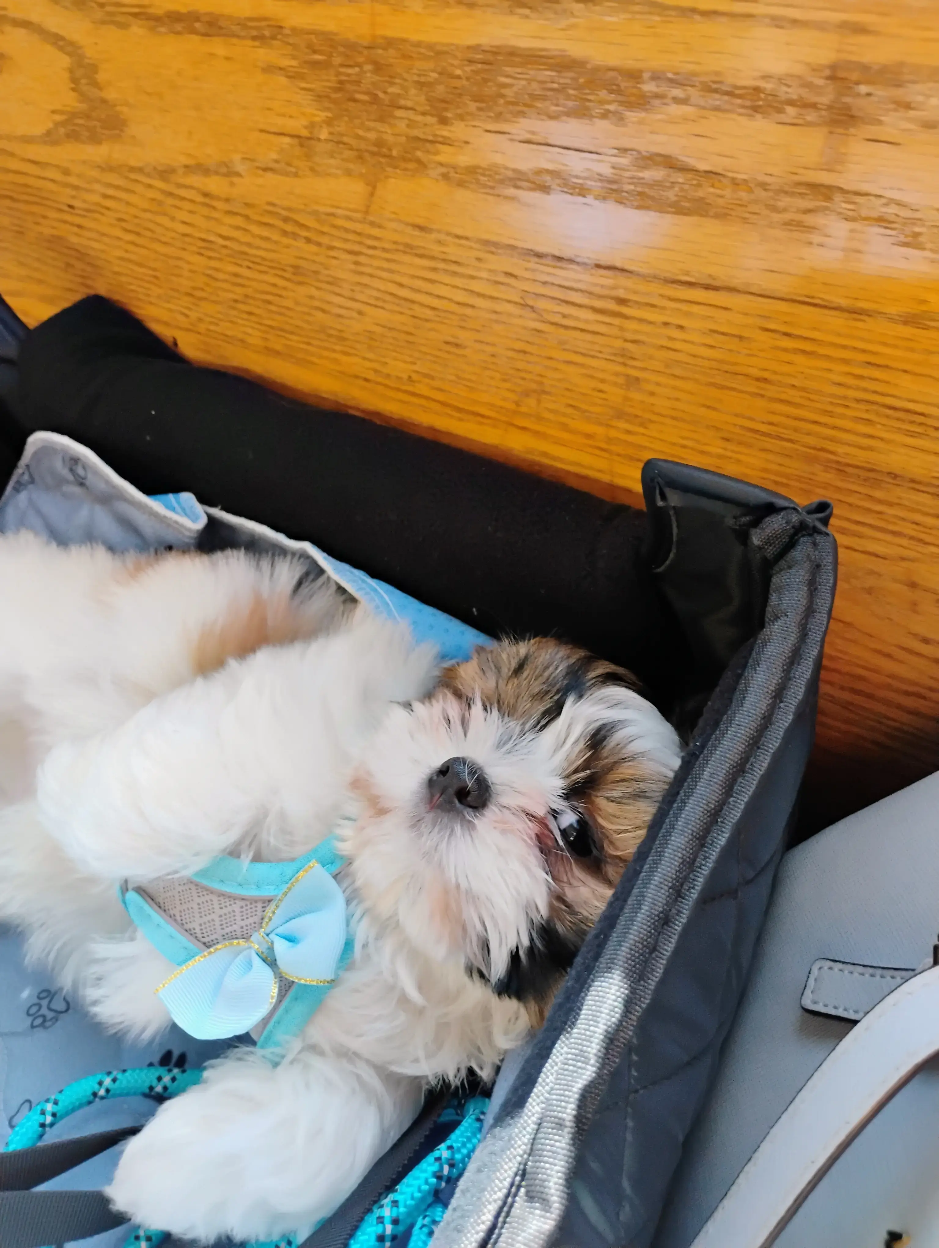 Stanton Laundromat thumbnail 5