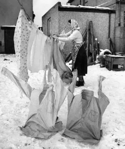 Star Laundry and Wash & Fold Delivery Service - Image 3