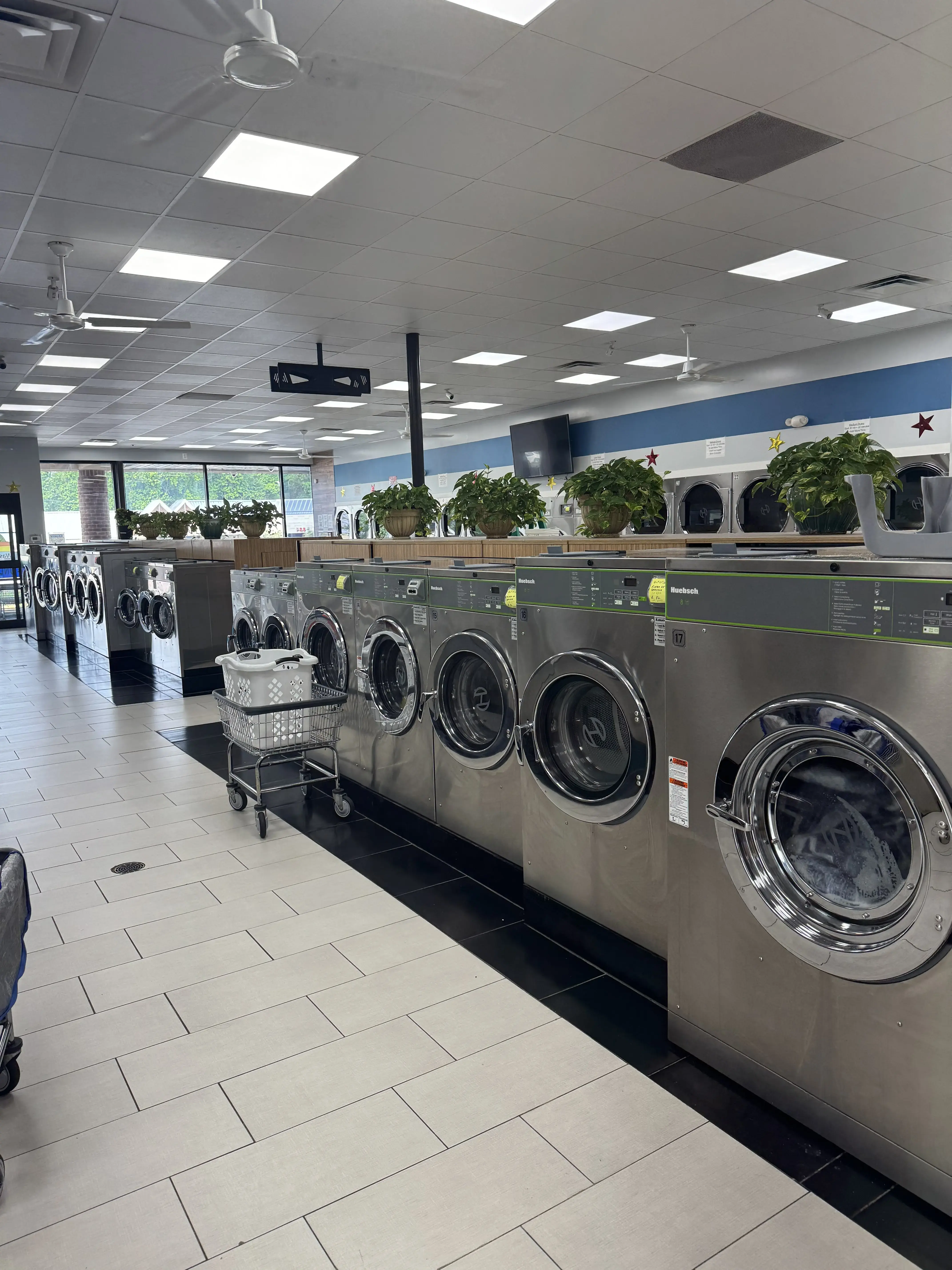Stars Laundromat thumbnail 2