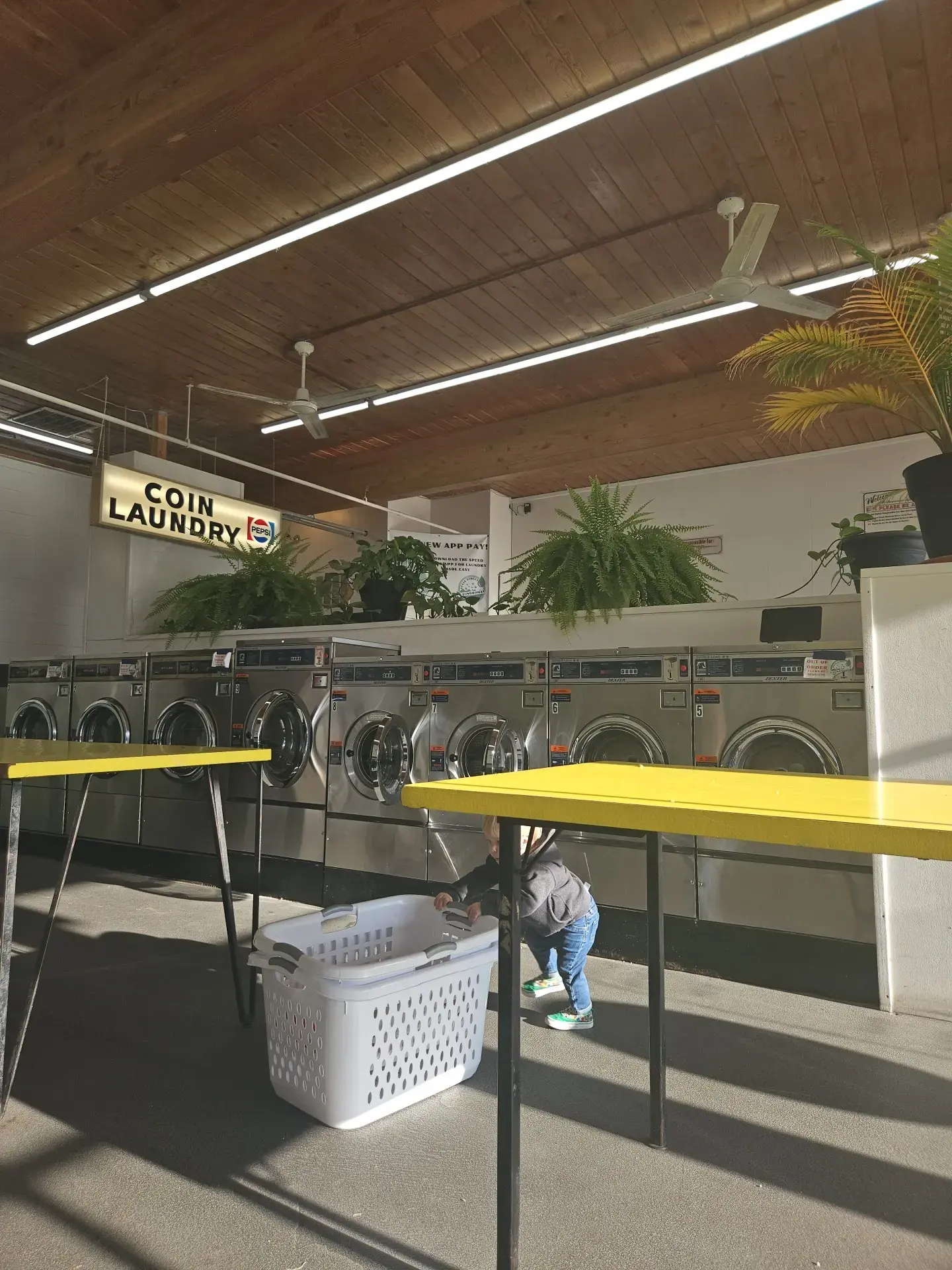 State Street Laundromat - Image 6