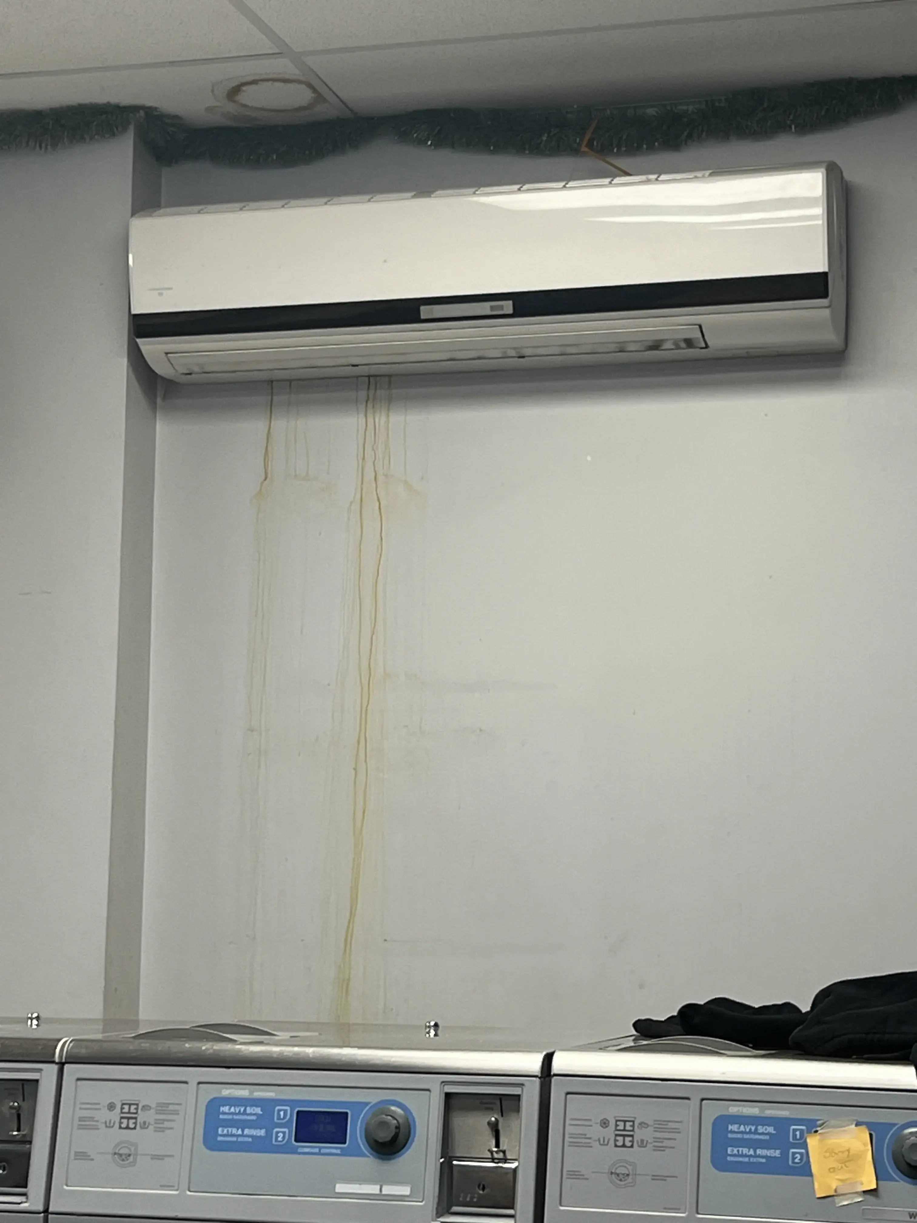 Stay Fresh Laundromat thumbnail 12