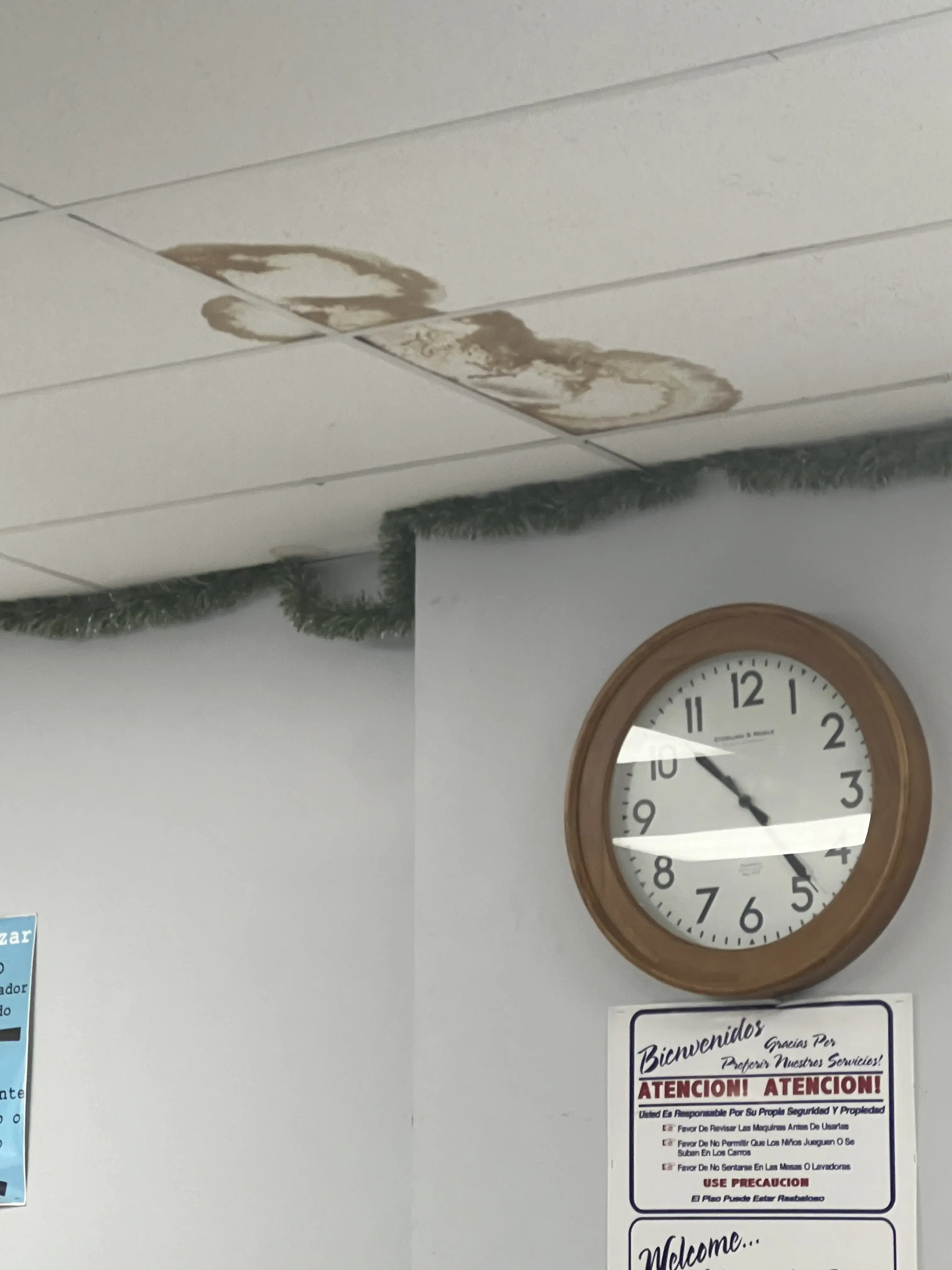 Stay Fresh Laundromat thumbnail 11