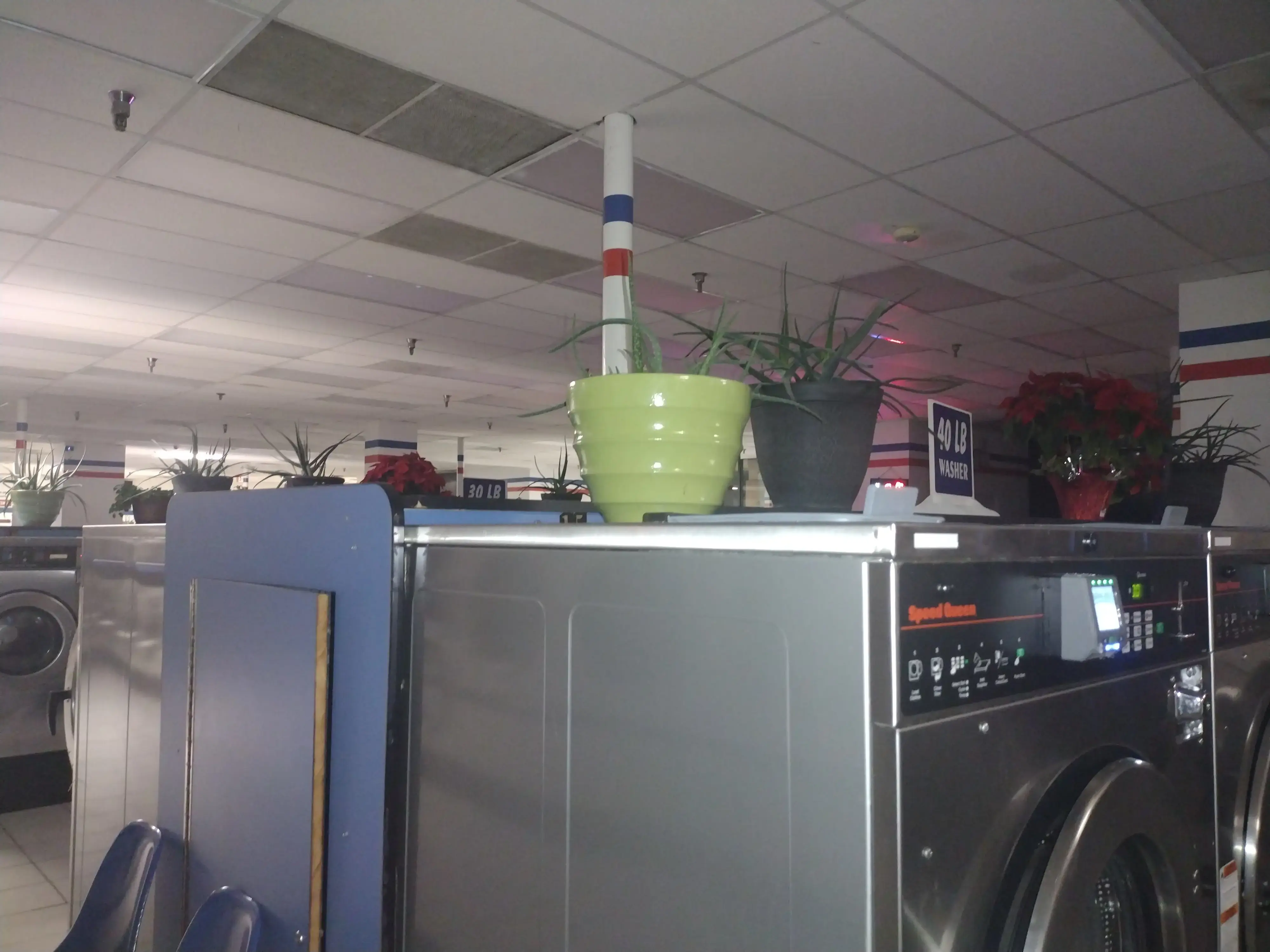 Sterling Coin Laundry - Image 11