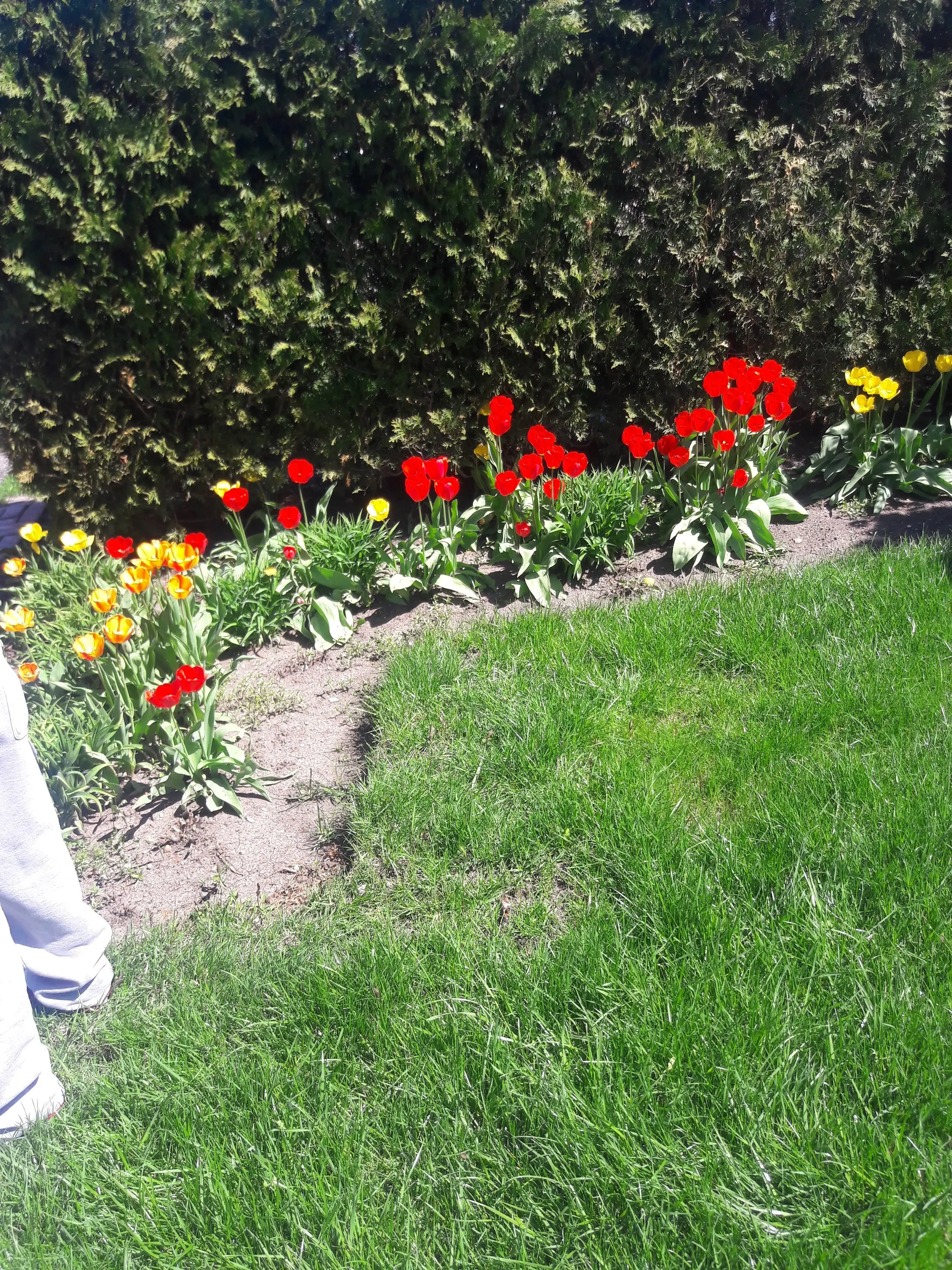 Su Primera Lavanderia thumbnail 16