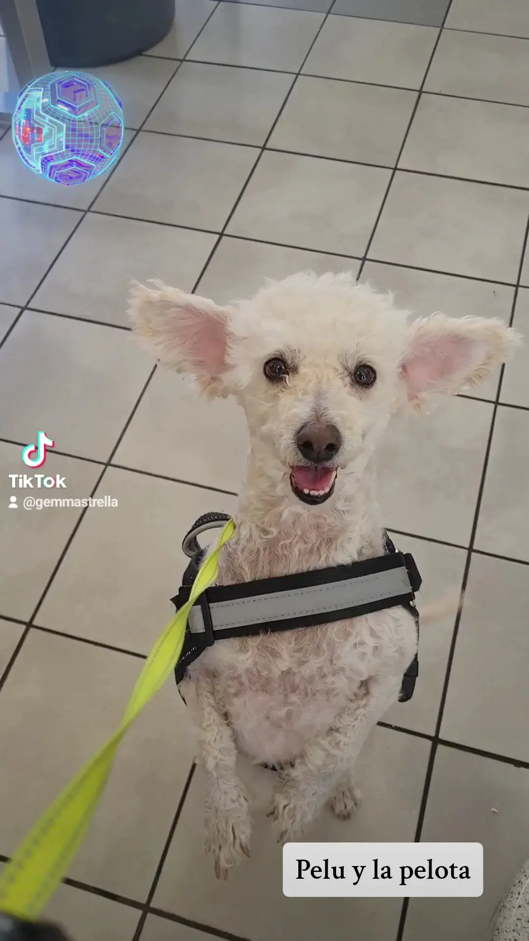 Su Primera Lavanderia - Image 18