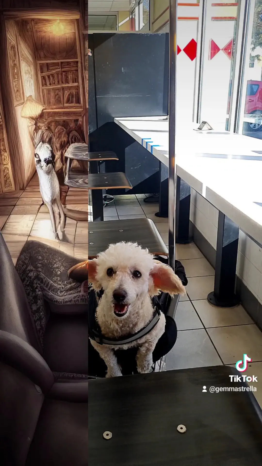 Su Primera Lavanderia thumbnail 12