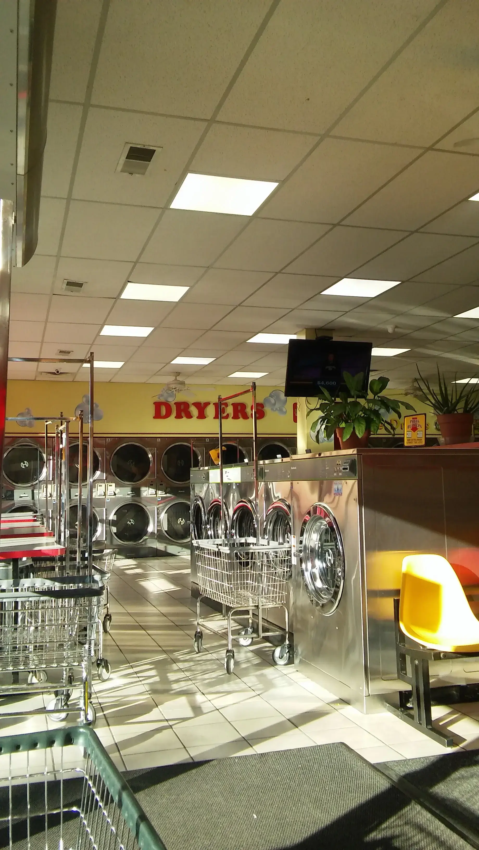 Su Primera Lavanderia thumbnail 5