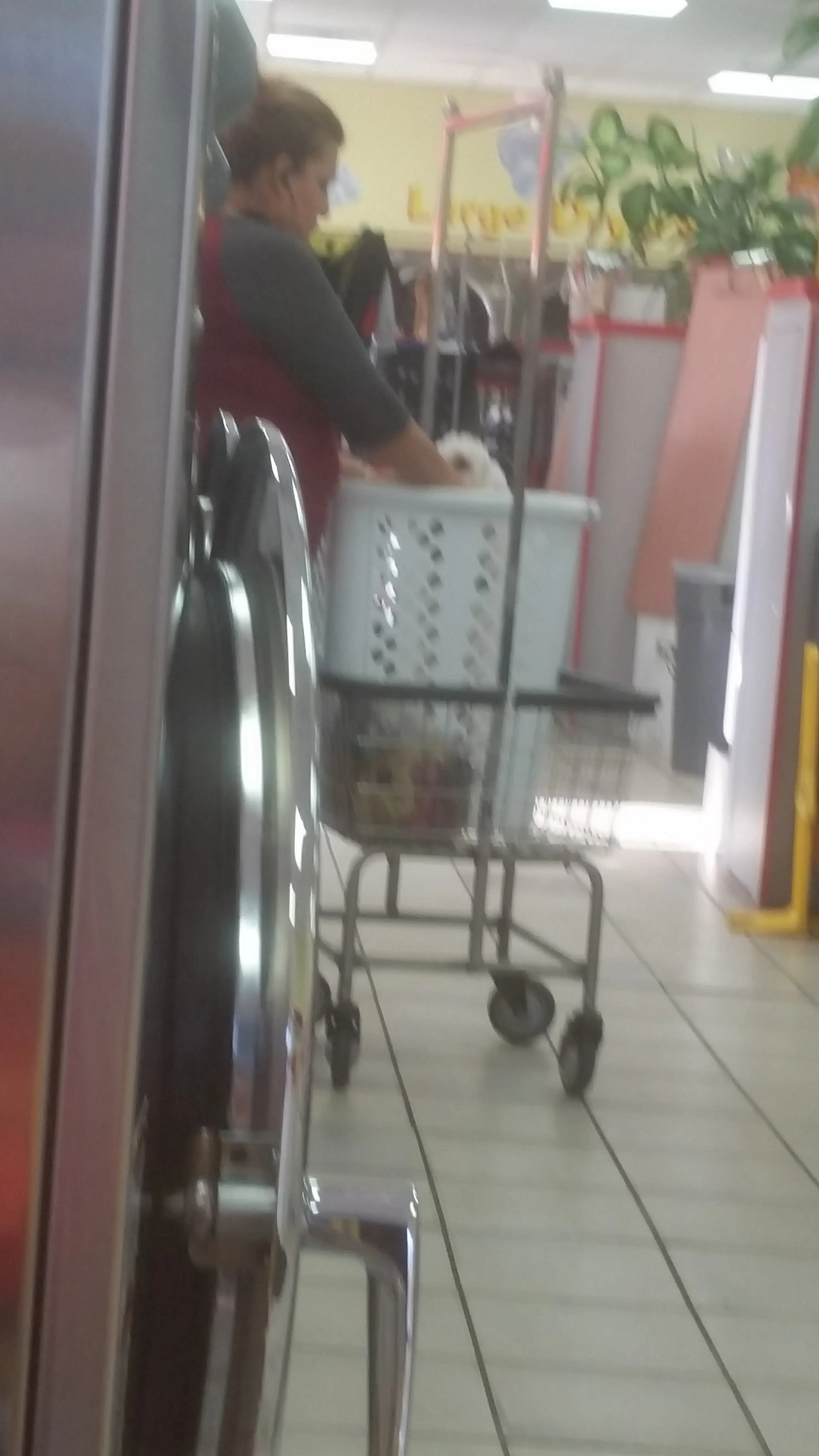 Su Primera Lavanderia - Image 20