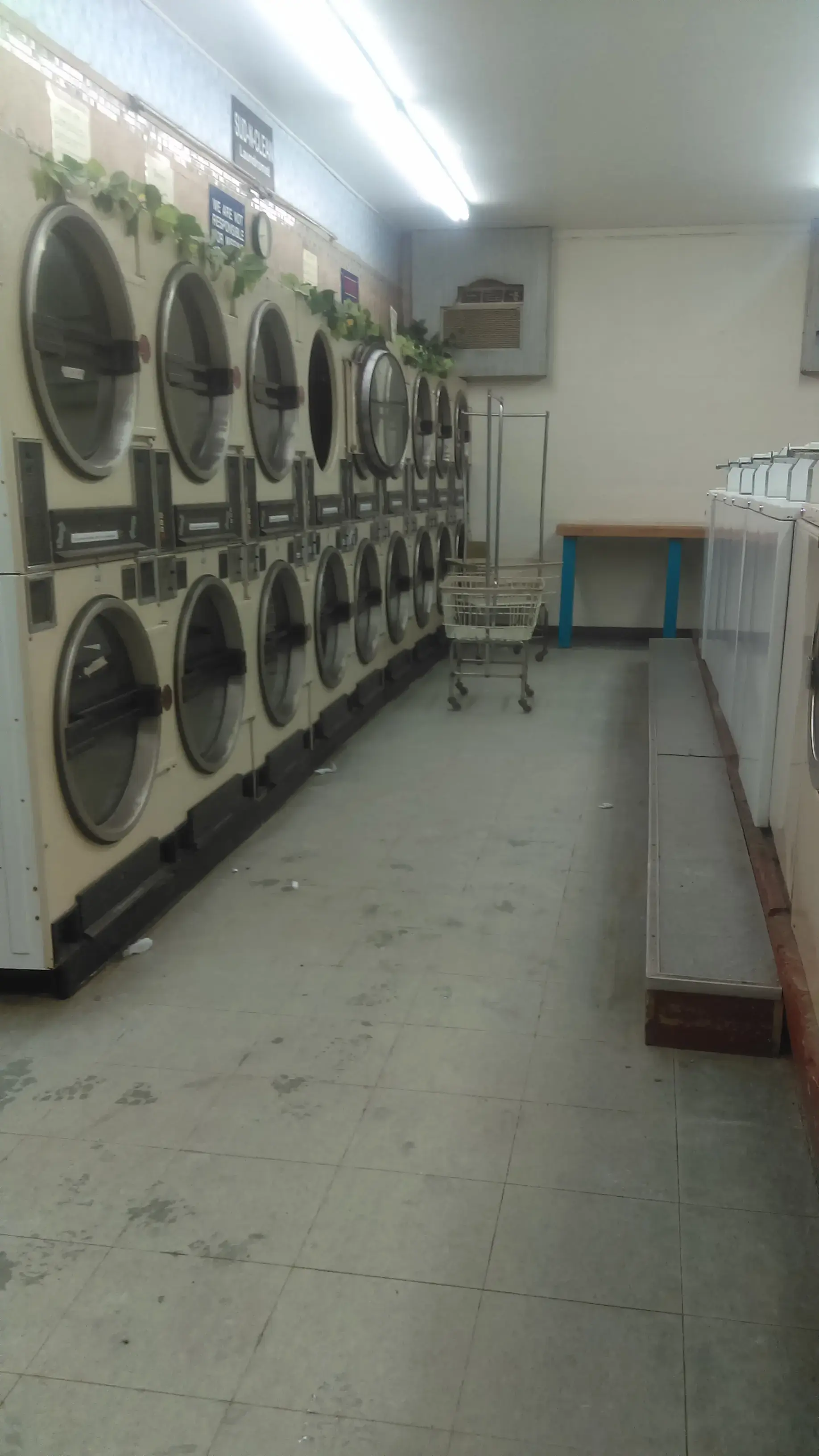 Sud-n-Clean - Image 5
