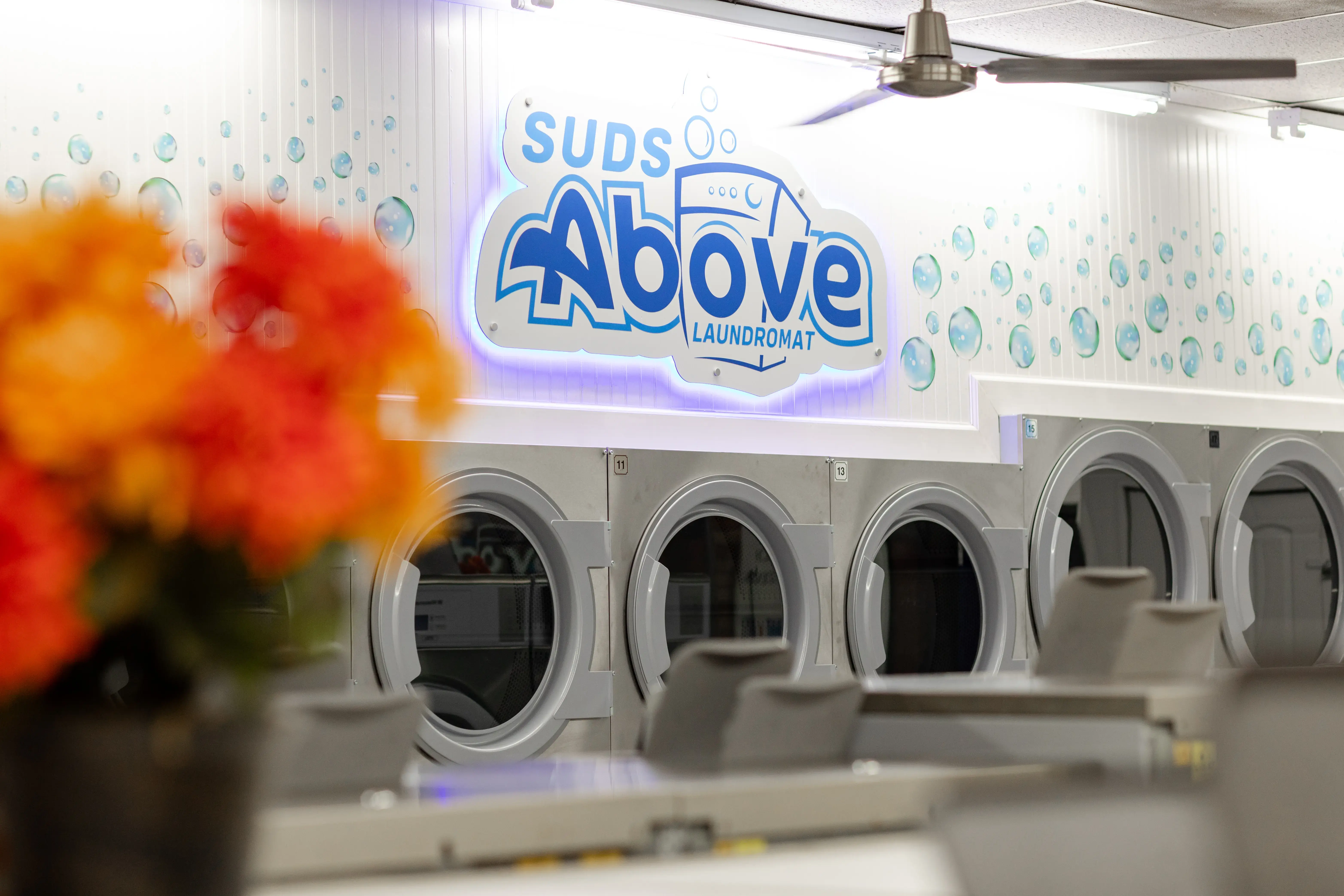 Suds Above Laundromat (Clean Quarters) thumbnail 9