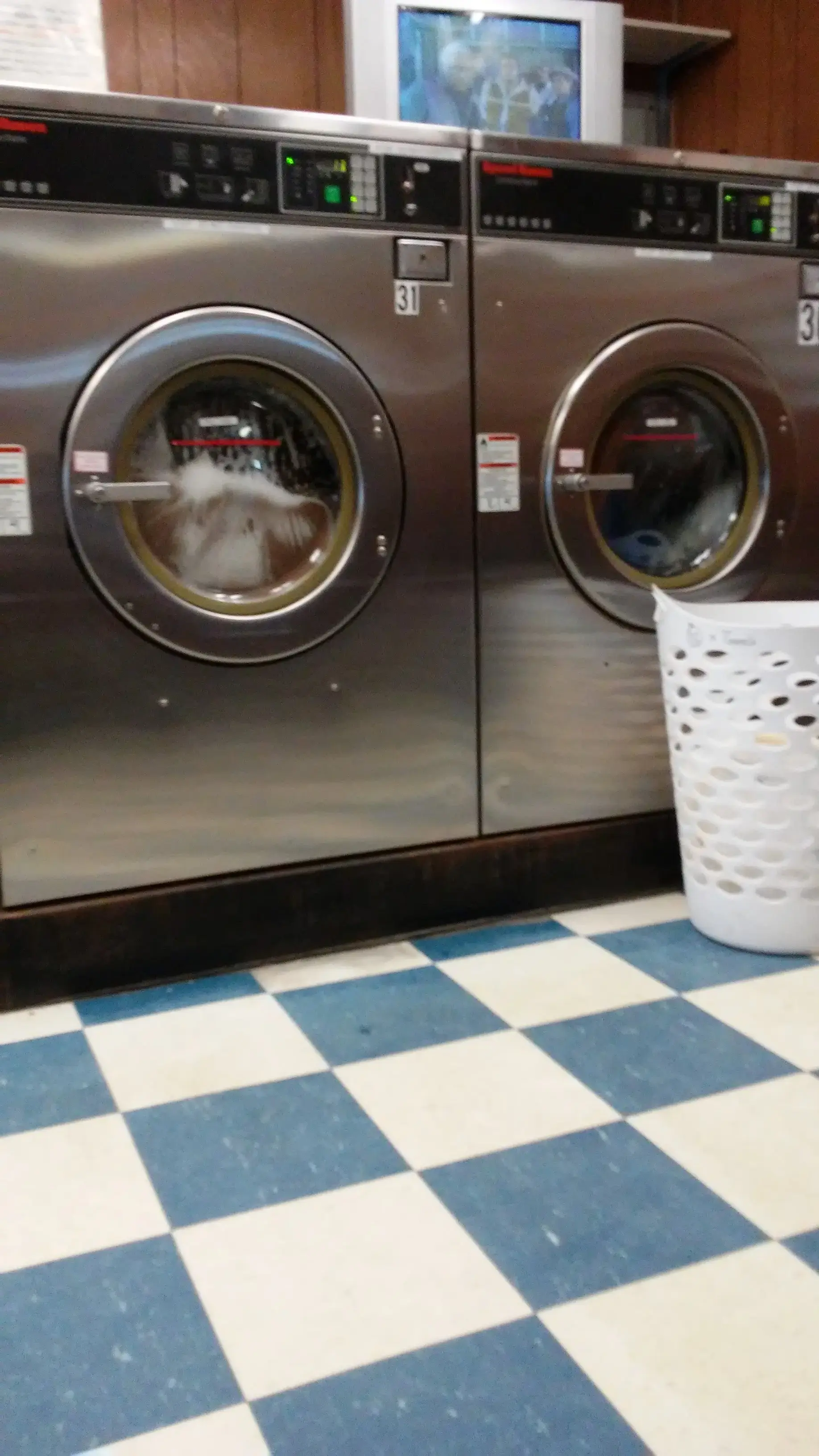 Suds & Bubbles thumbnail 5
