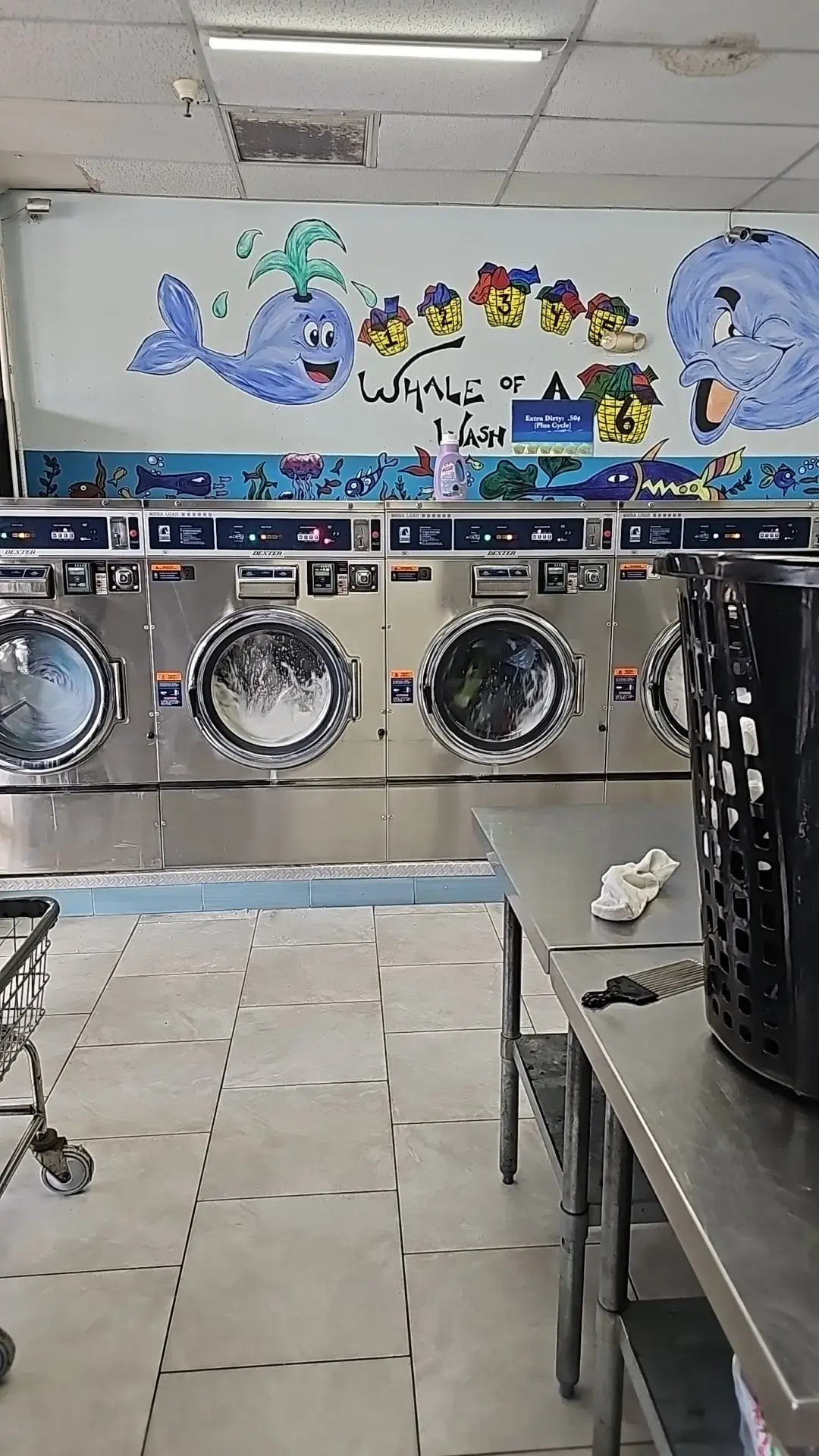 Suds Club Laundromat + Wash, Dry & Fold thumbnail 16