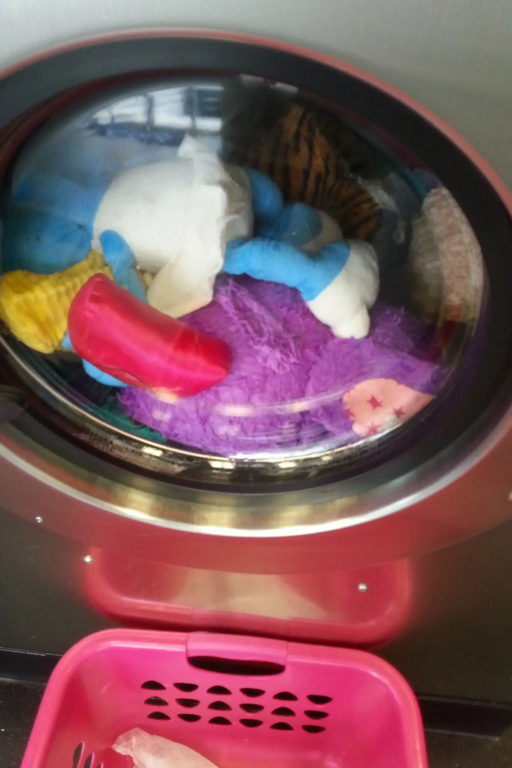 Suds Laundromat - Savannah - Image 10