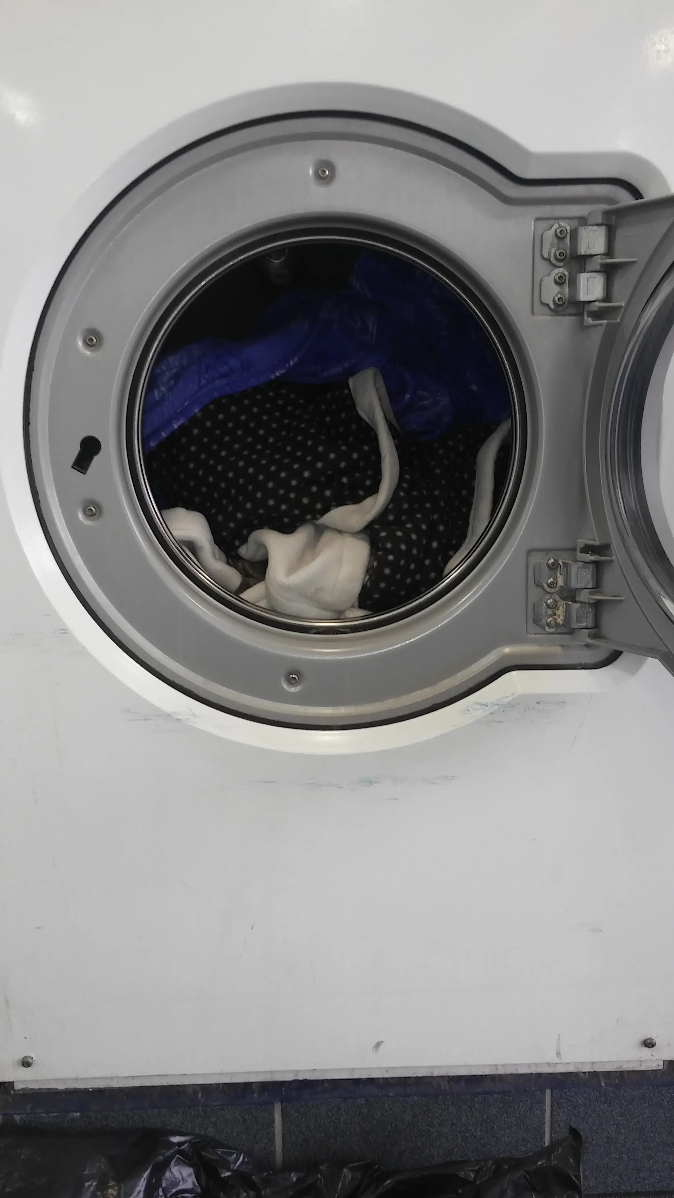Sudsville Laundry thumbnail 19