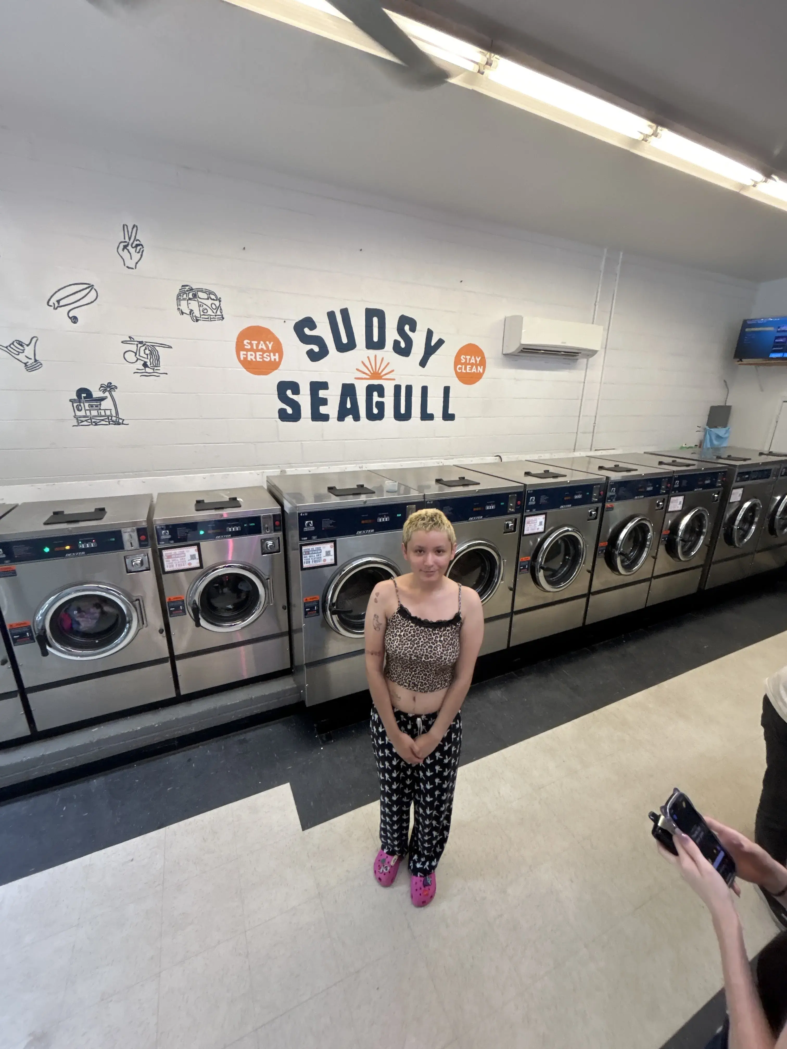 Sudsy Seagull Coin Laundry thumbnail 12