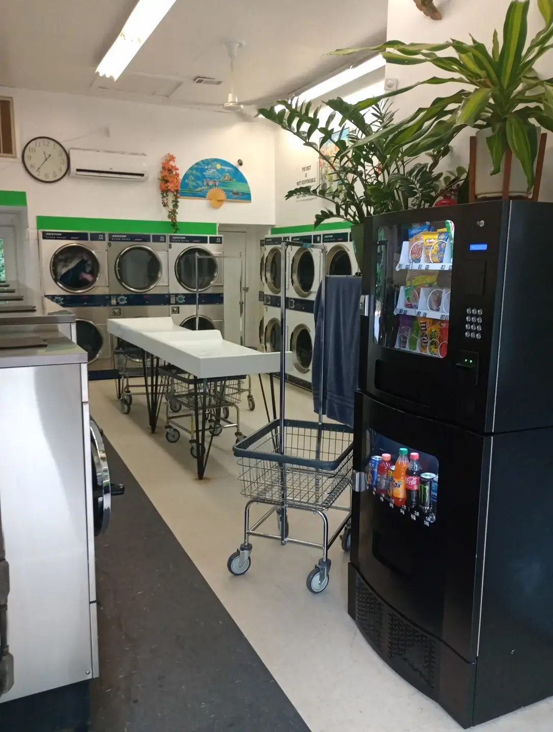 Sudsy Seagull Coin Laundry thumbnail 15