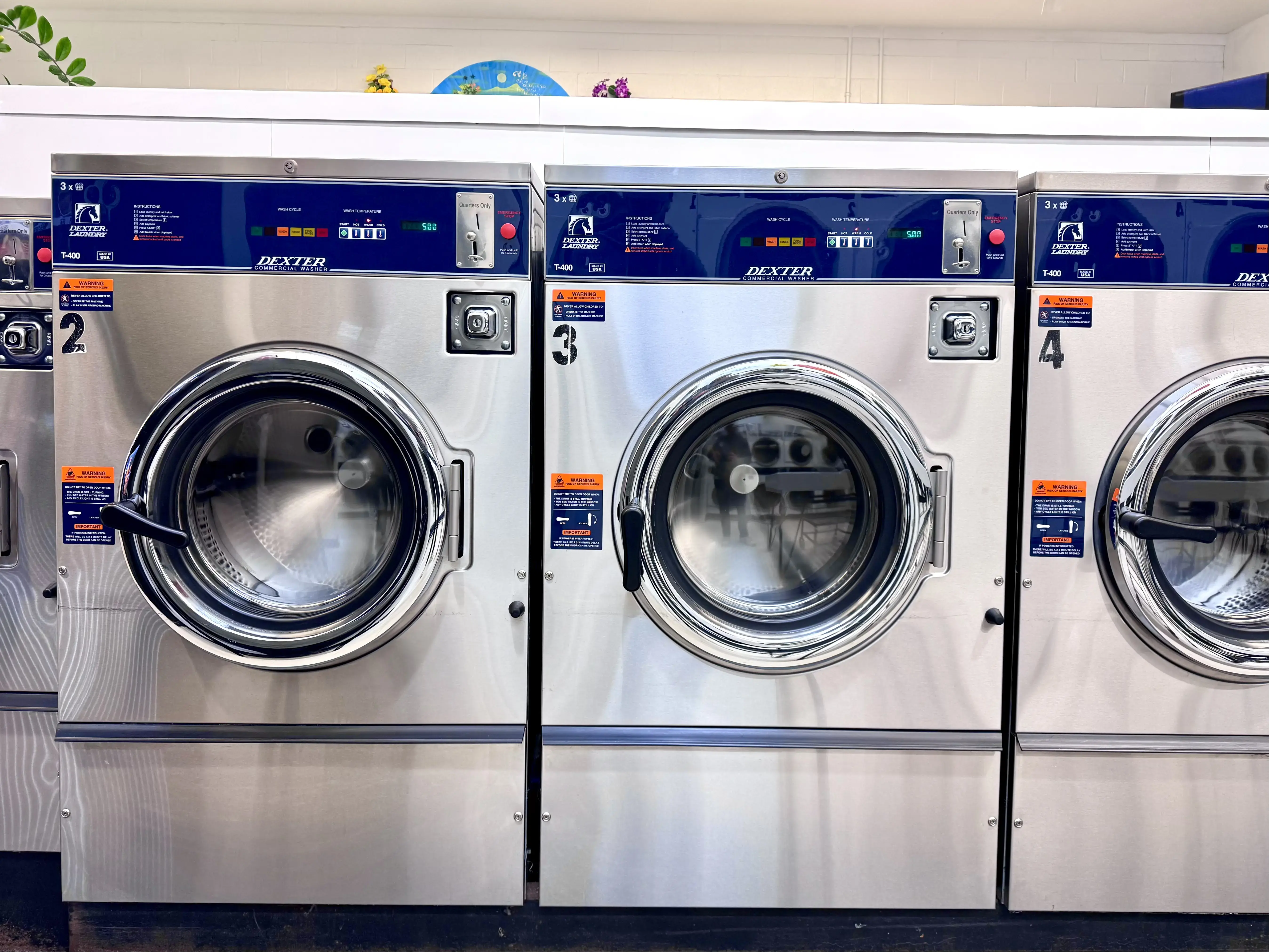Sudsy Seagull Coin Laundry - Image 3