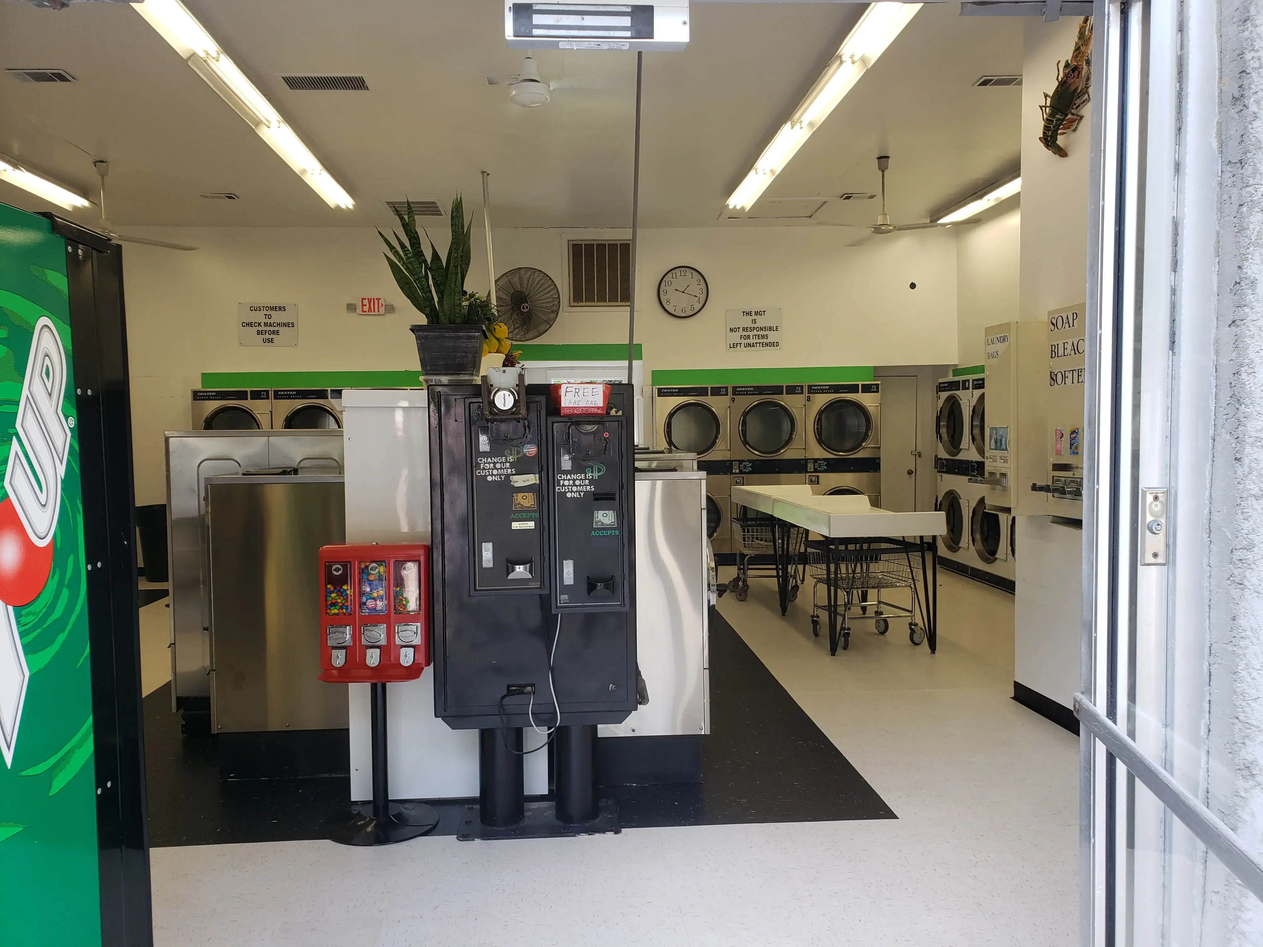 Sudsy Seagull Coin Laundry thumbnail 14