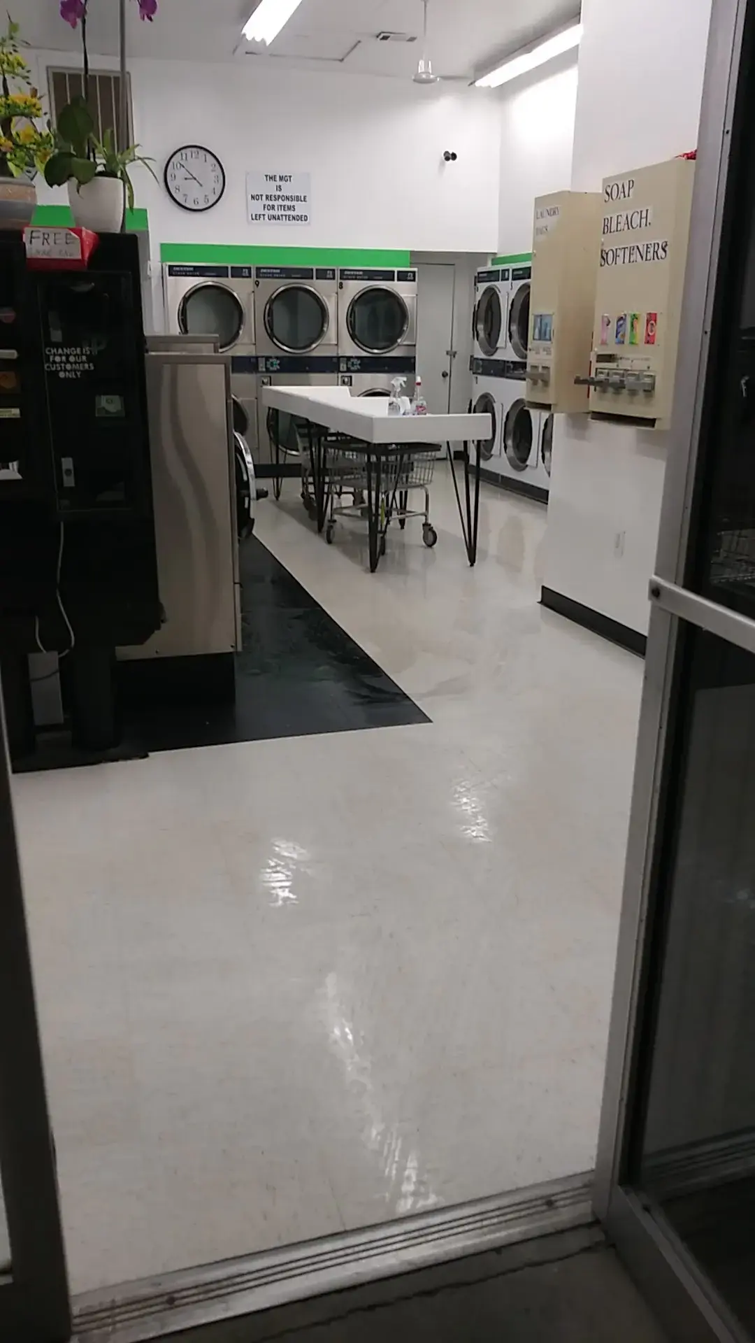 Sudsy Seagull Coin Laundry - Image 11