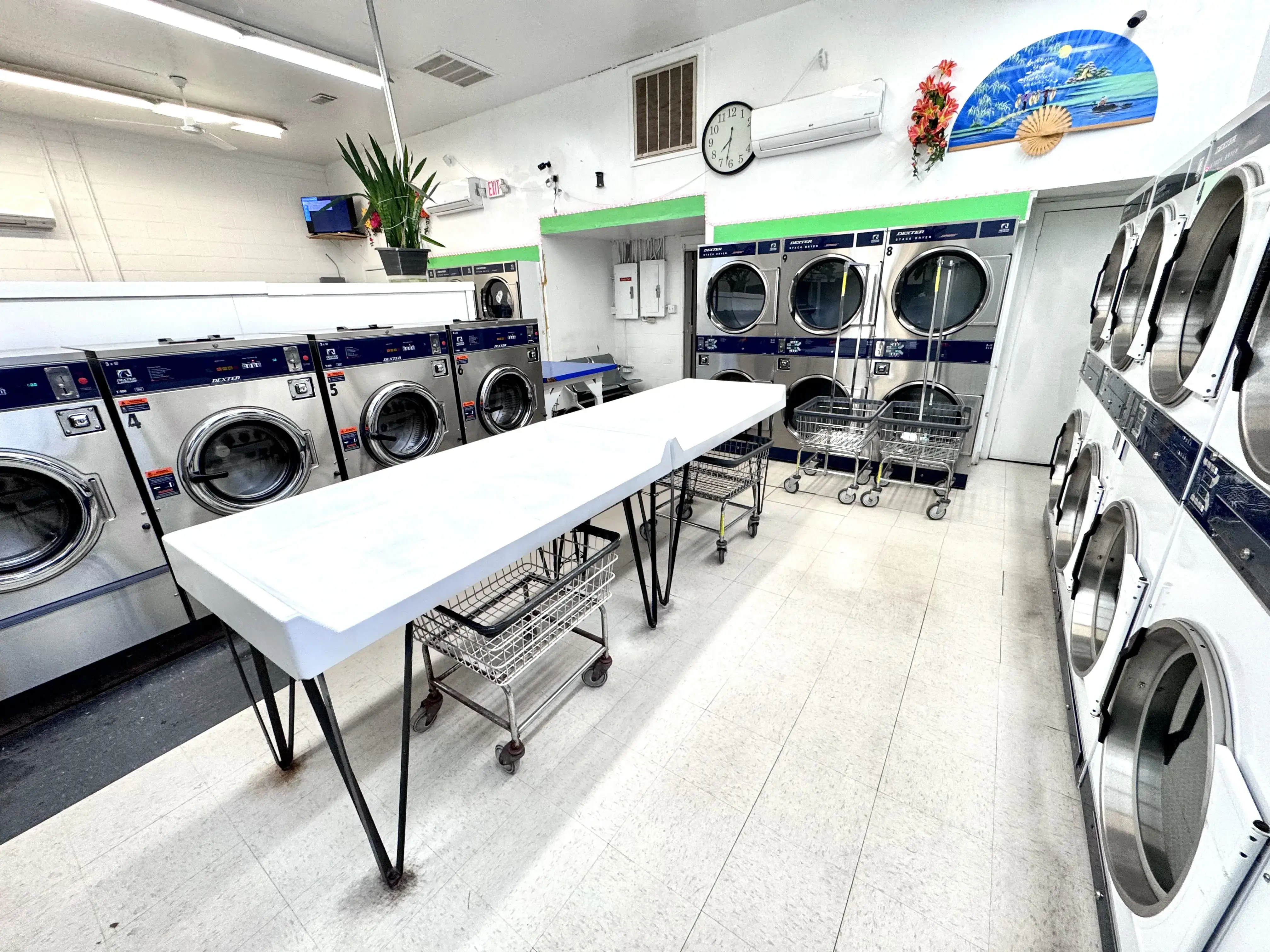 Sudsy Seagull Coin Laundry thumbnail 2