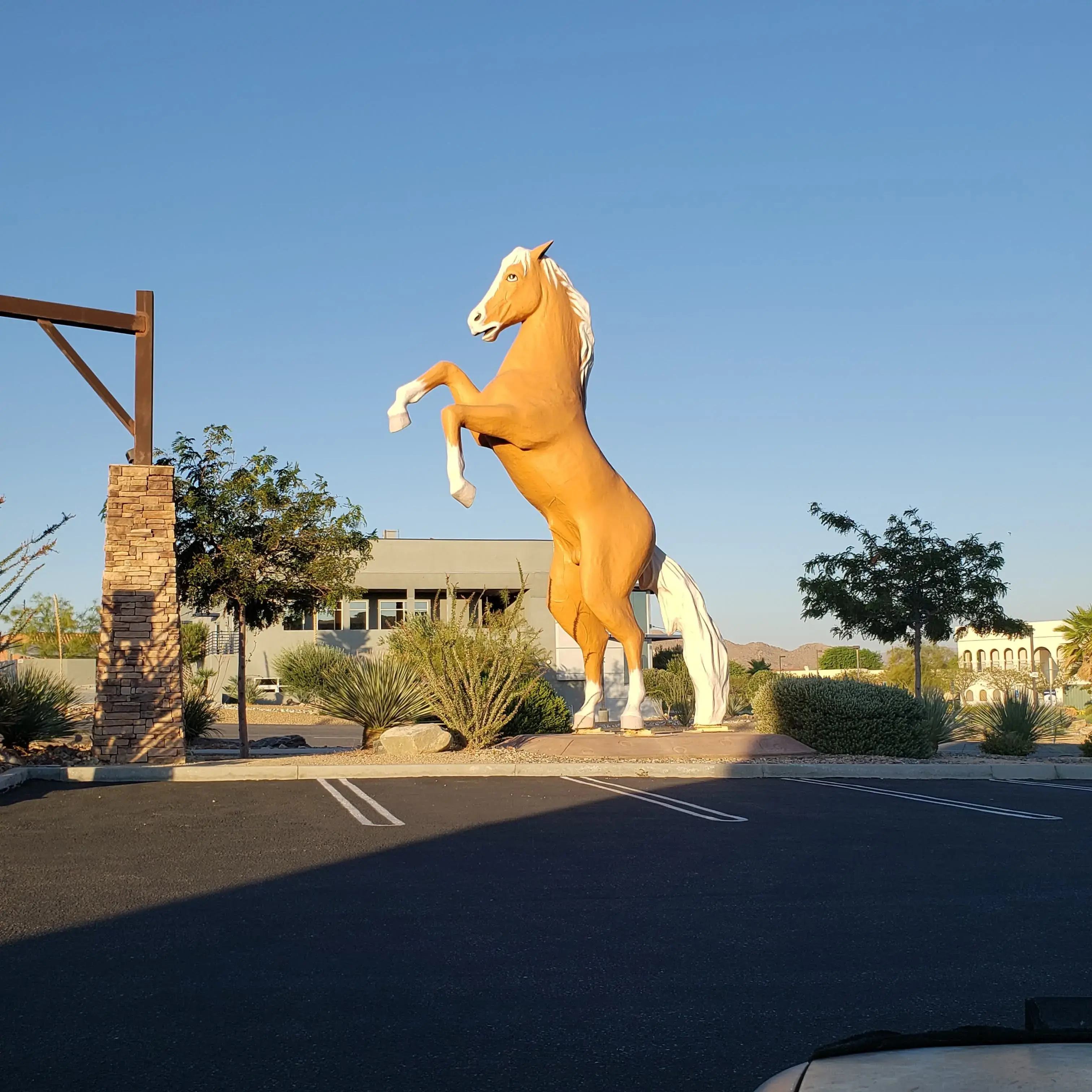 Sudsys Coin Wash thumbnail 8