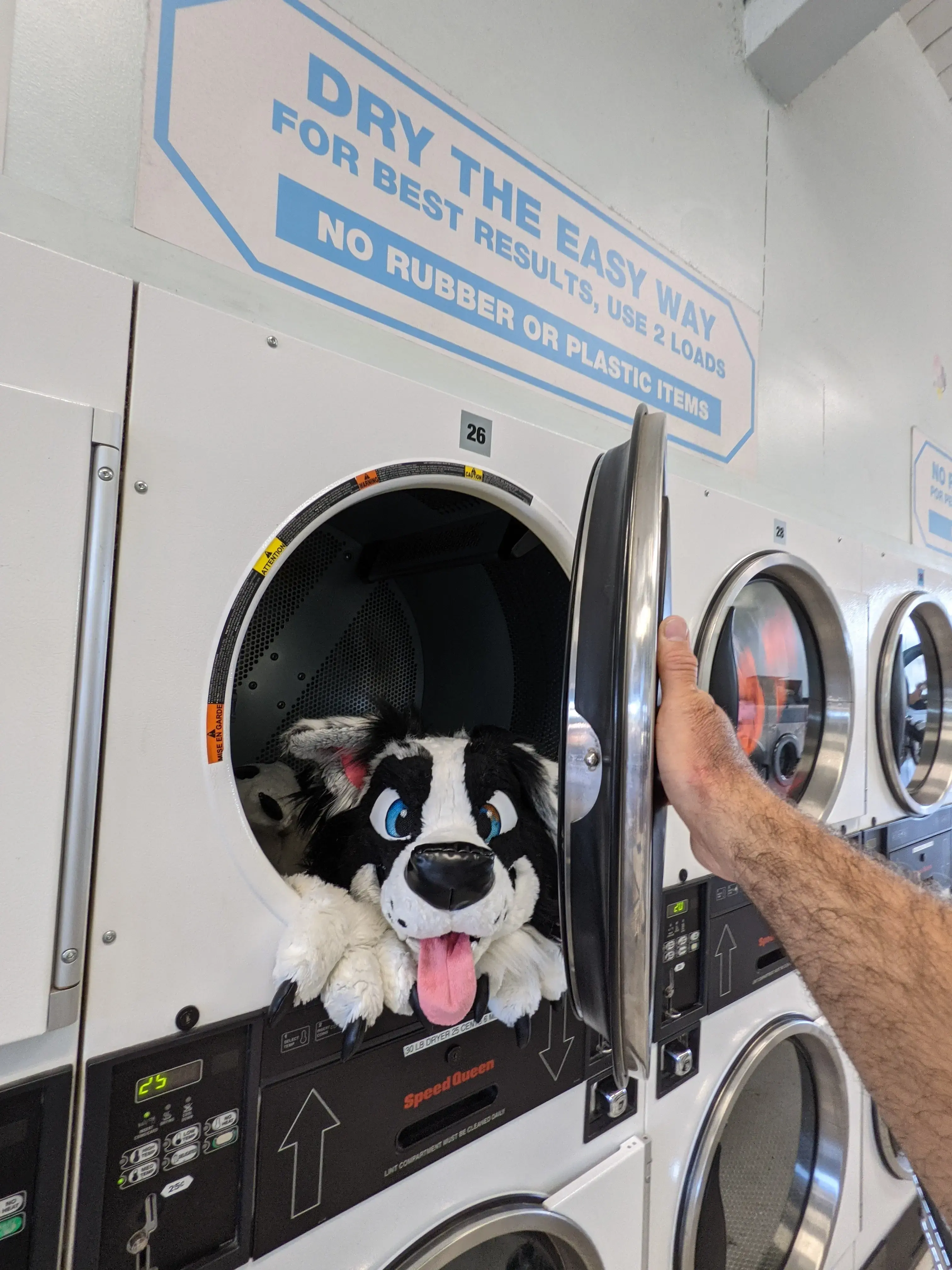 Sudz Coin Laundry thumbnail 15