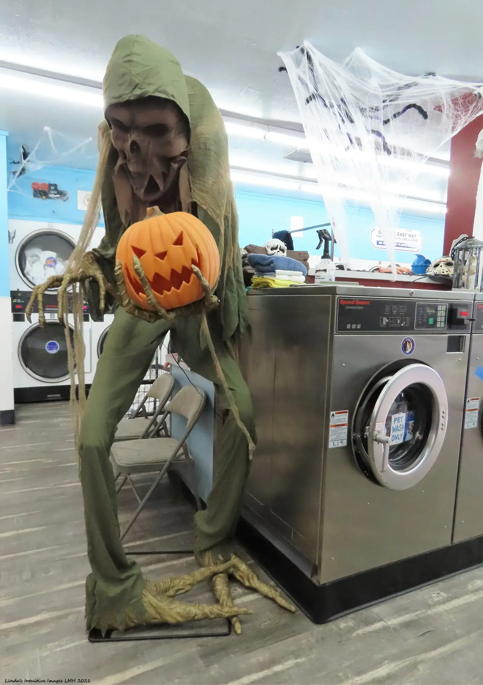 Sudz Cyber Laundry thumbnail 9