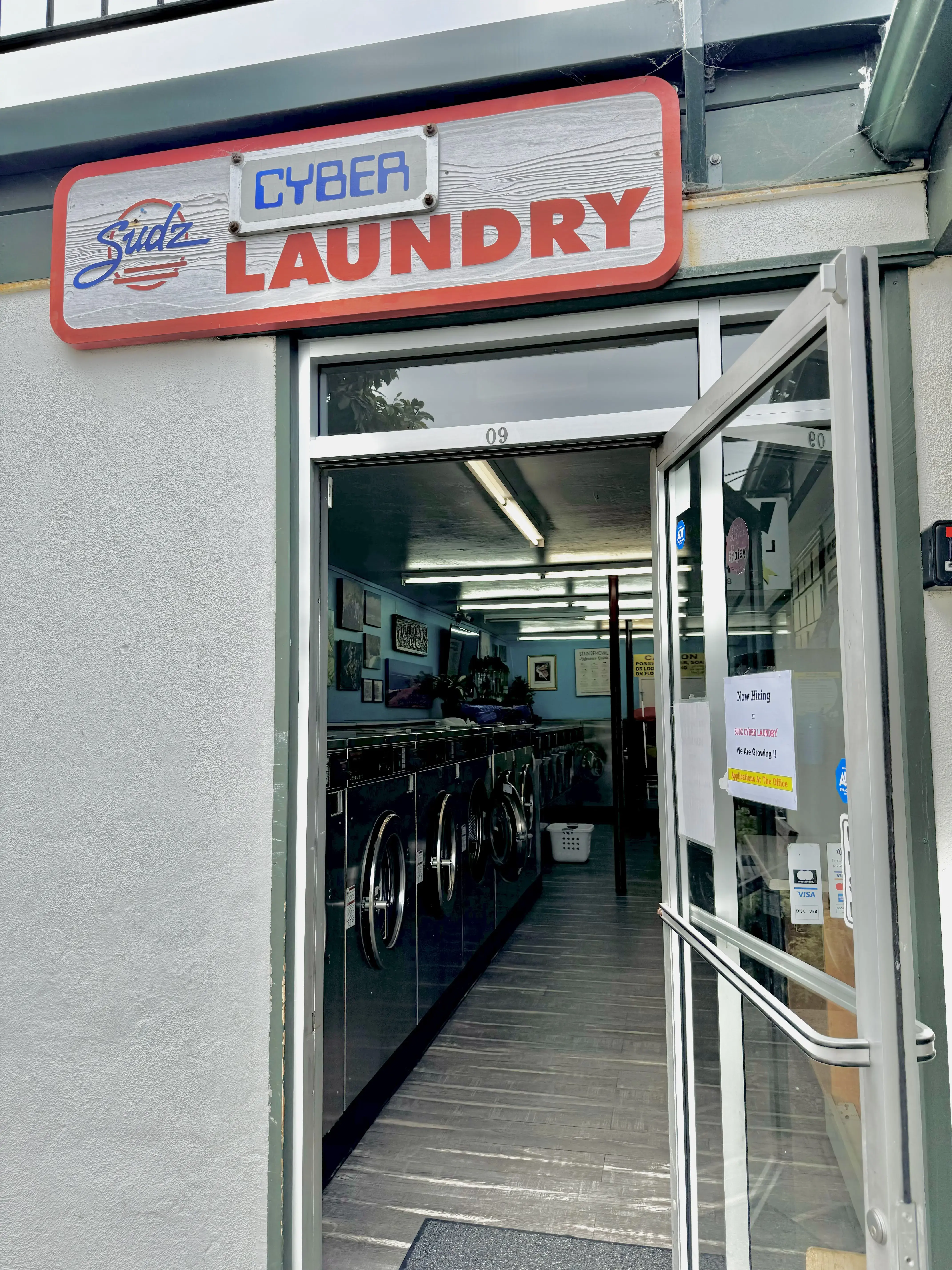 Sudz Cyber Laundry thumbnail 5
