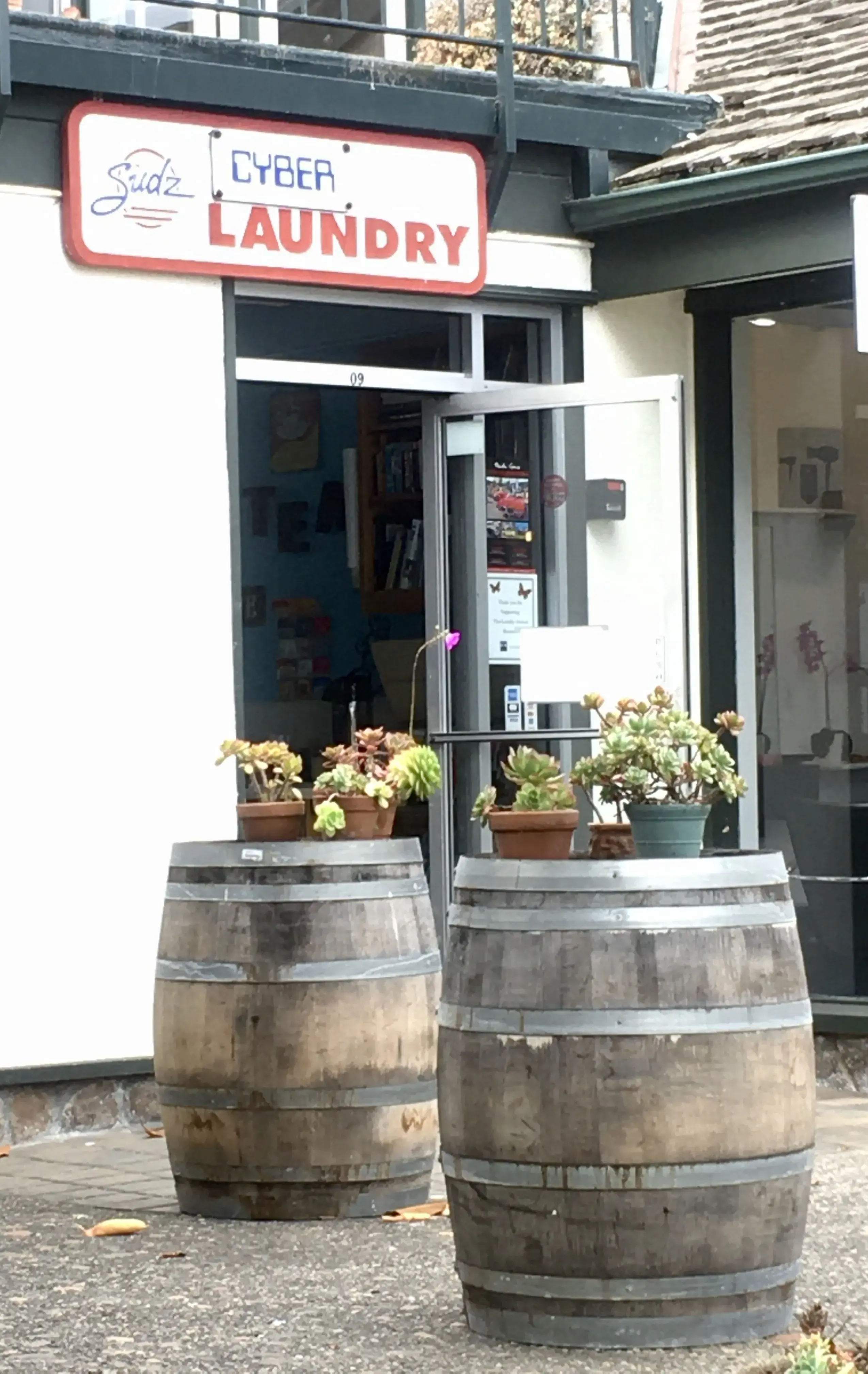 Sudz Cyber Laundry - Image 13