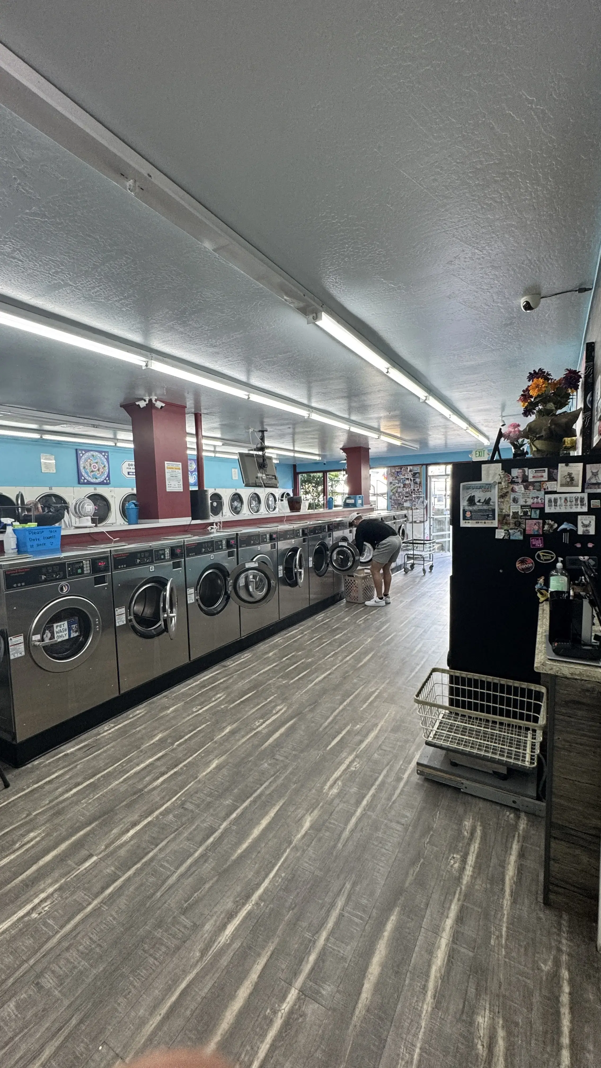 Sudz Cyber Laundry - Image 19