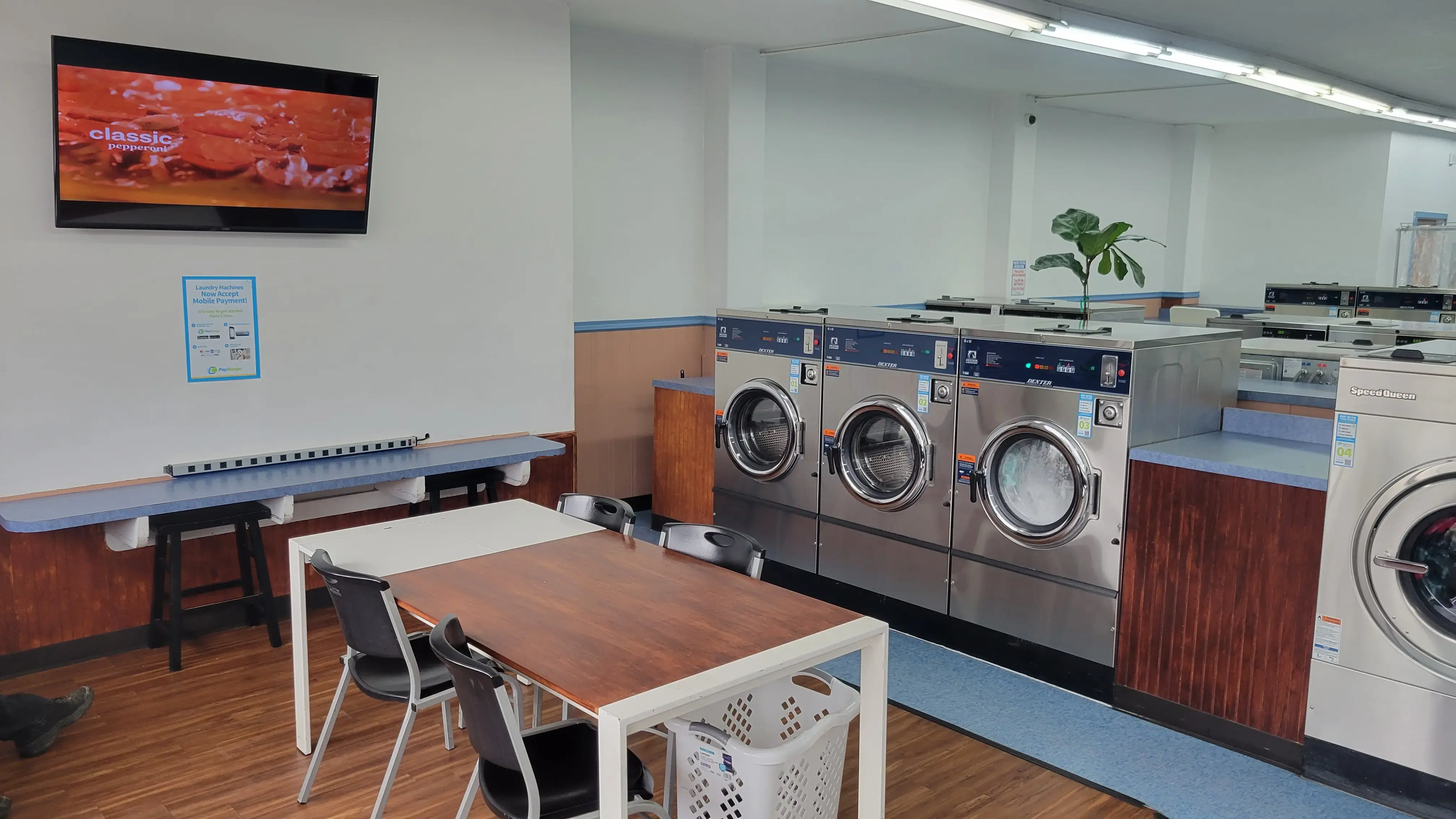 Sudz Yer Dudz Laundromat - Image 3