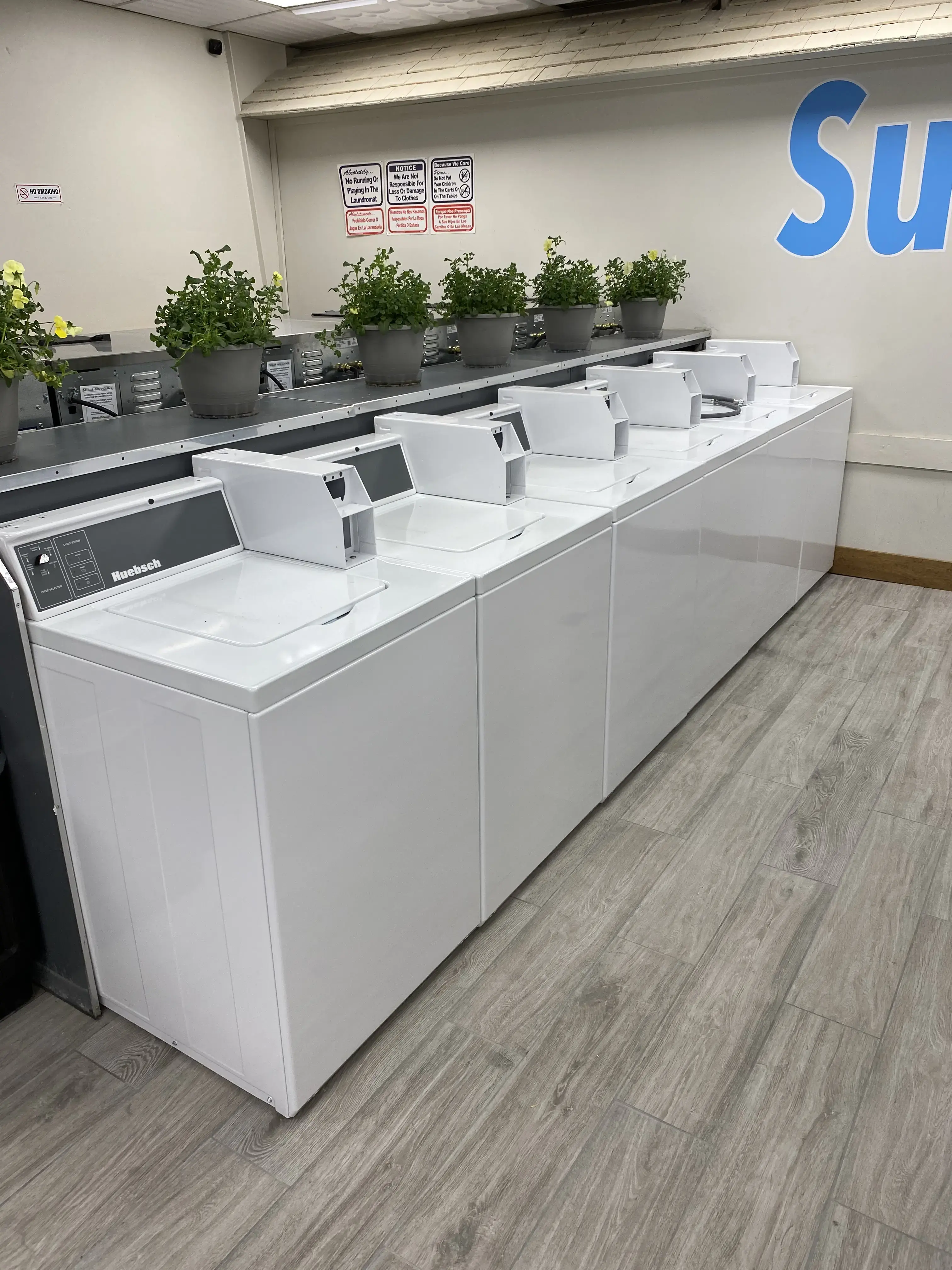 Sudzz Laundromat - Image 10