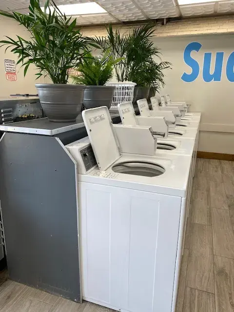 Sudzz Laundromat thumbnail 11