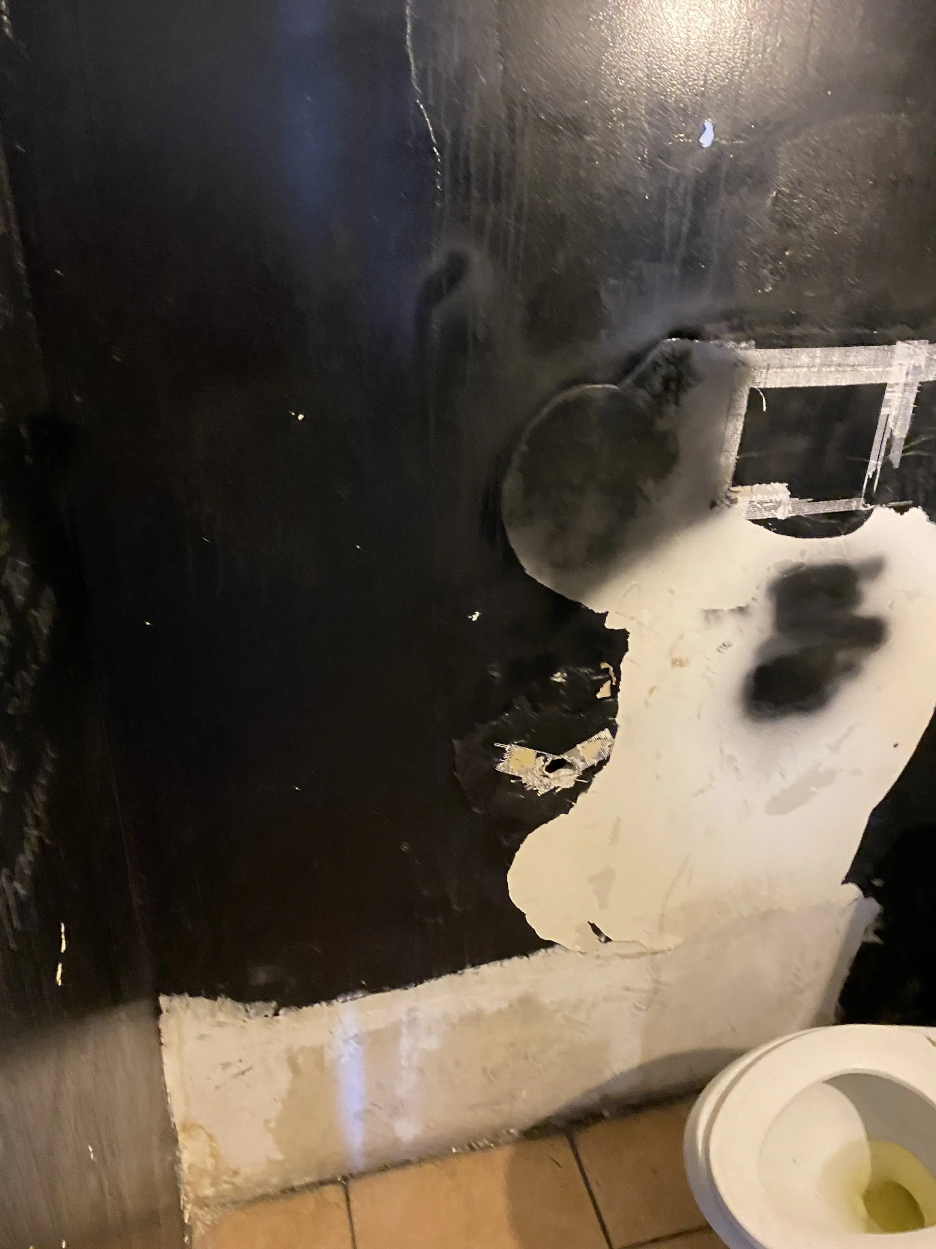 Sun City Dry Cleaners & Laundry thumbnail 16