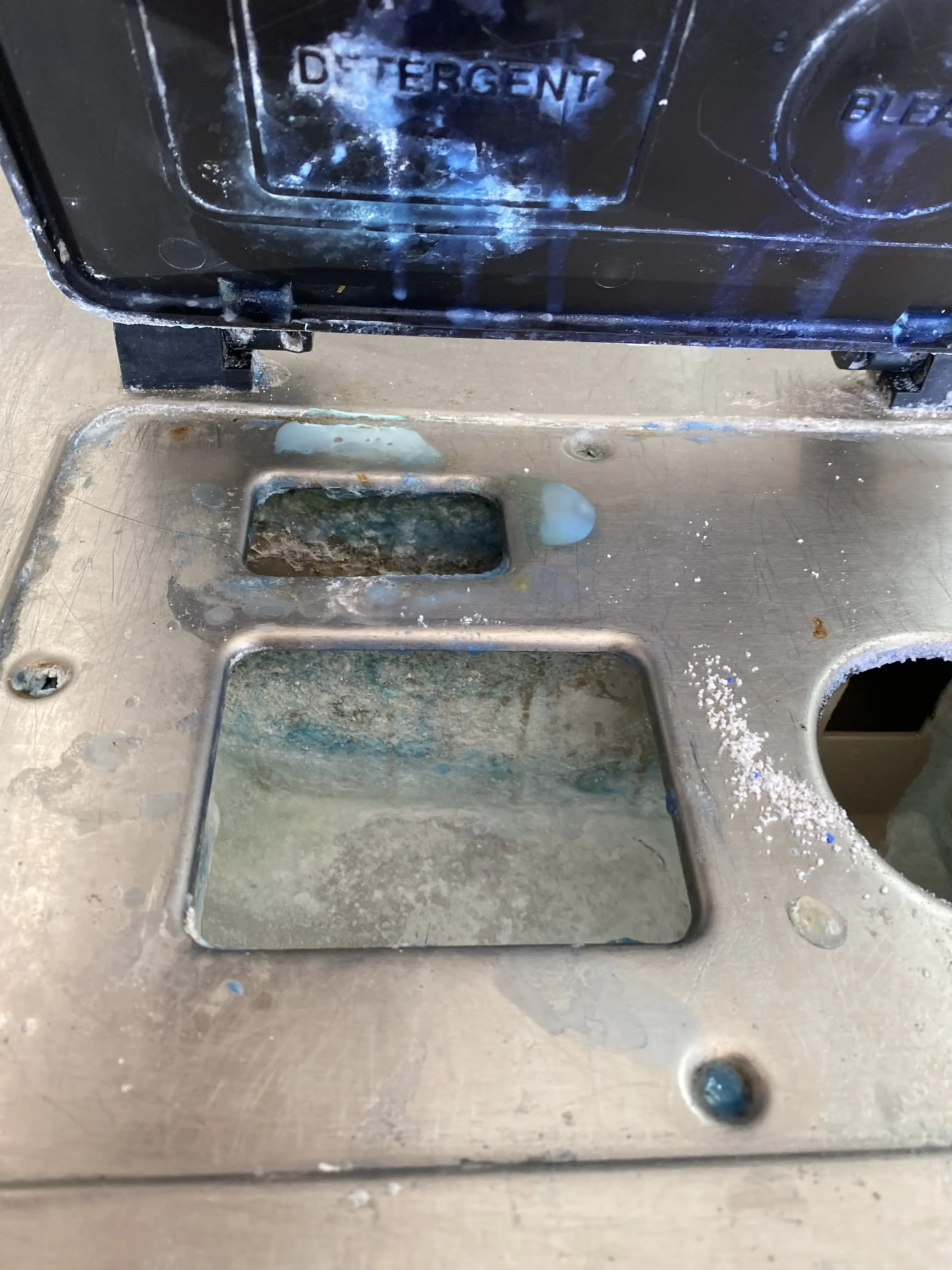 Sun City Dry Cleaners & Laundry thumbnail 20