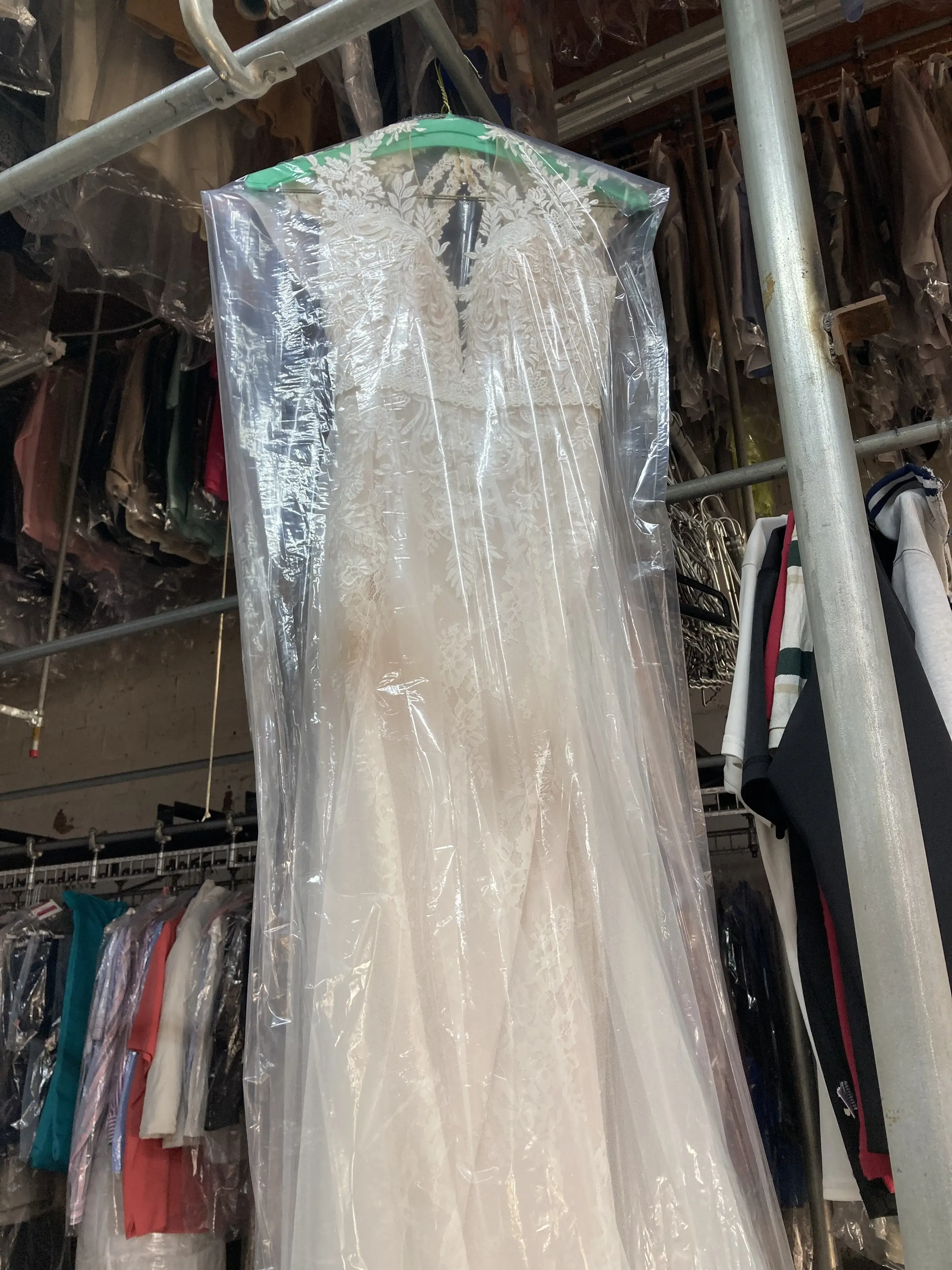 Sun Cleaners - Image 16