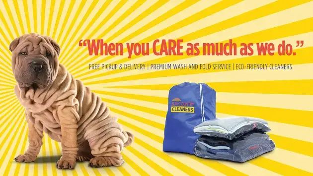 Sun Country Cleaners - Image 10