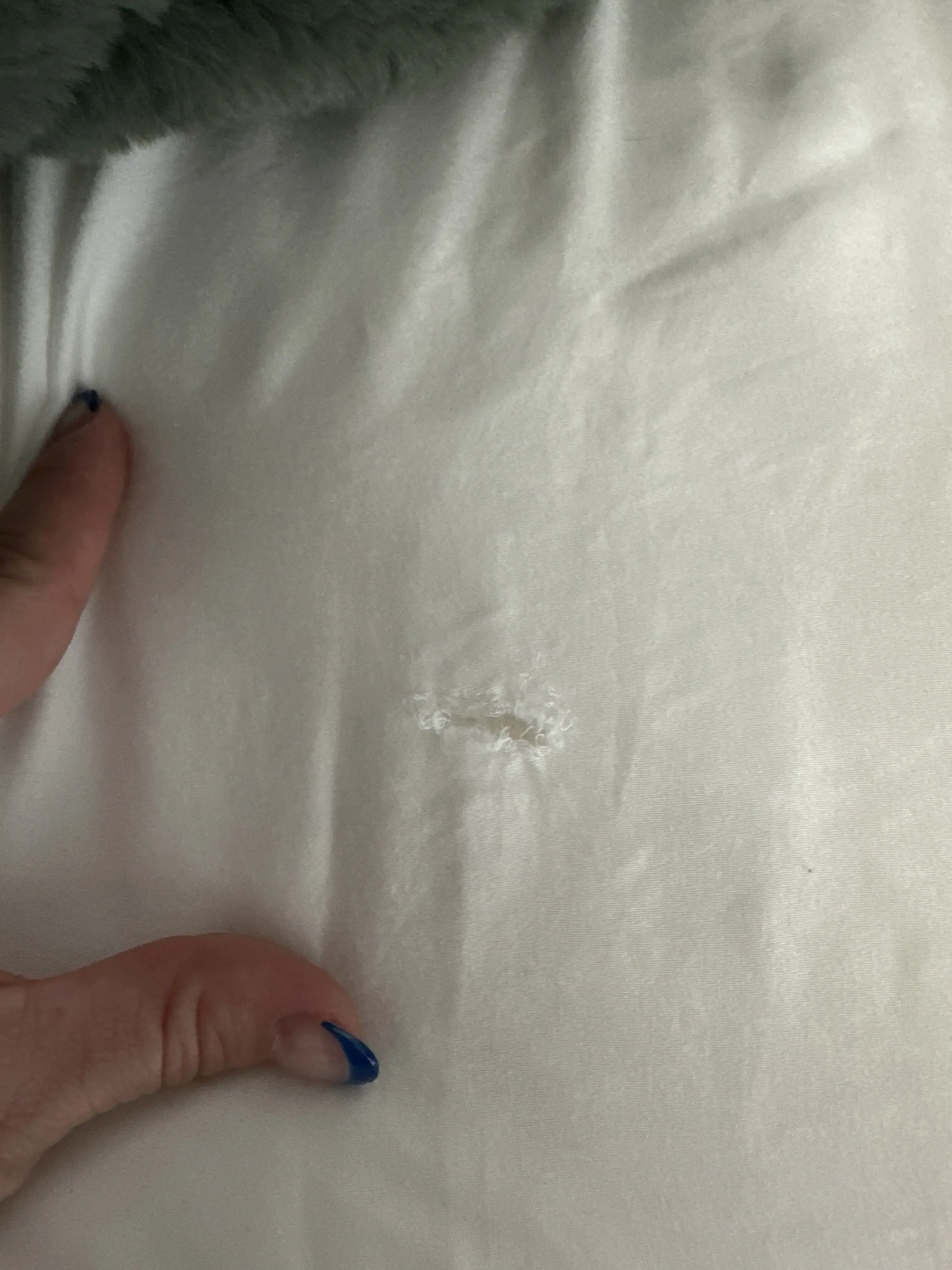 Sun Country Cleaners thumbnail 9