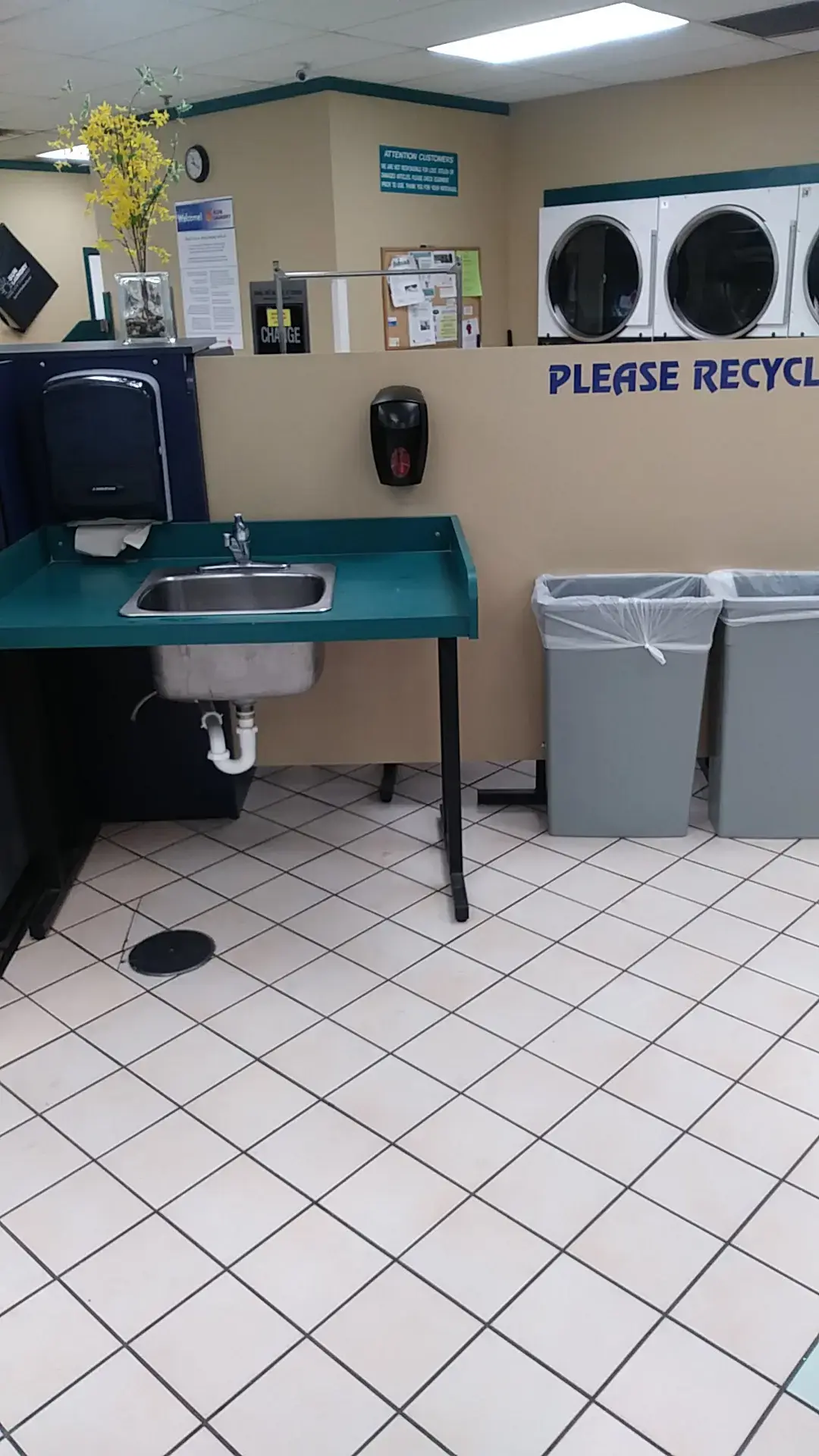 Sun Laundry thumbnail 10