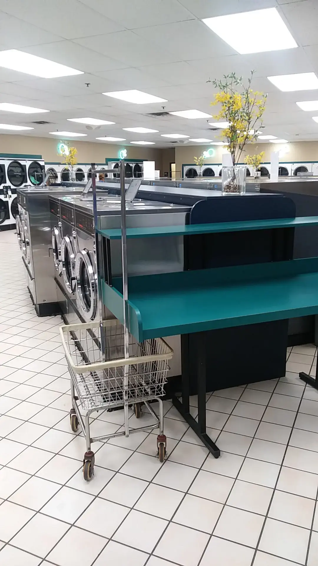 Sun Laundry - Image 11