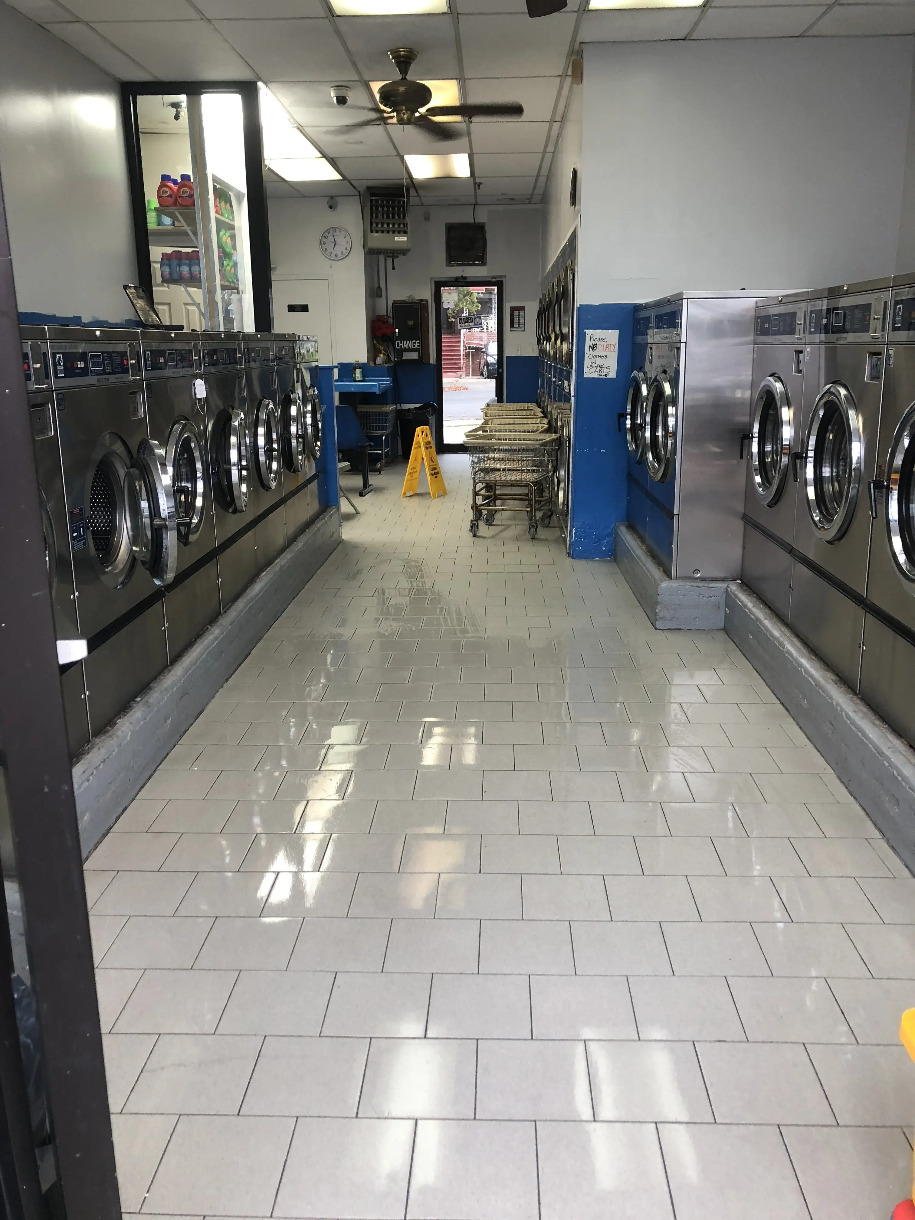 Sunflower Laundromat thumbnail 19