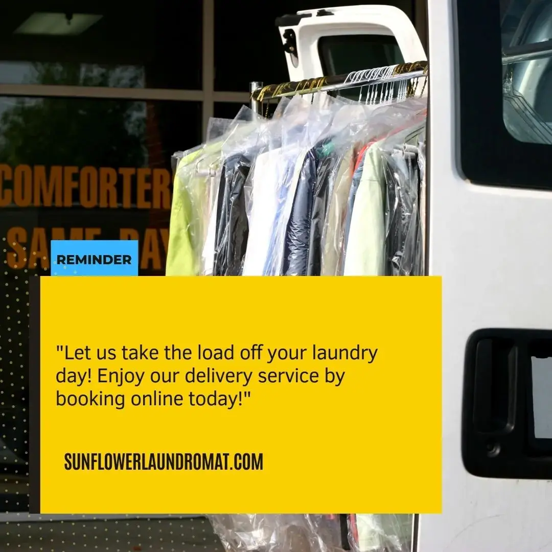 Sunflower Laundromat - Image 7