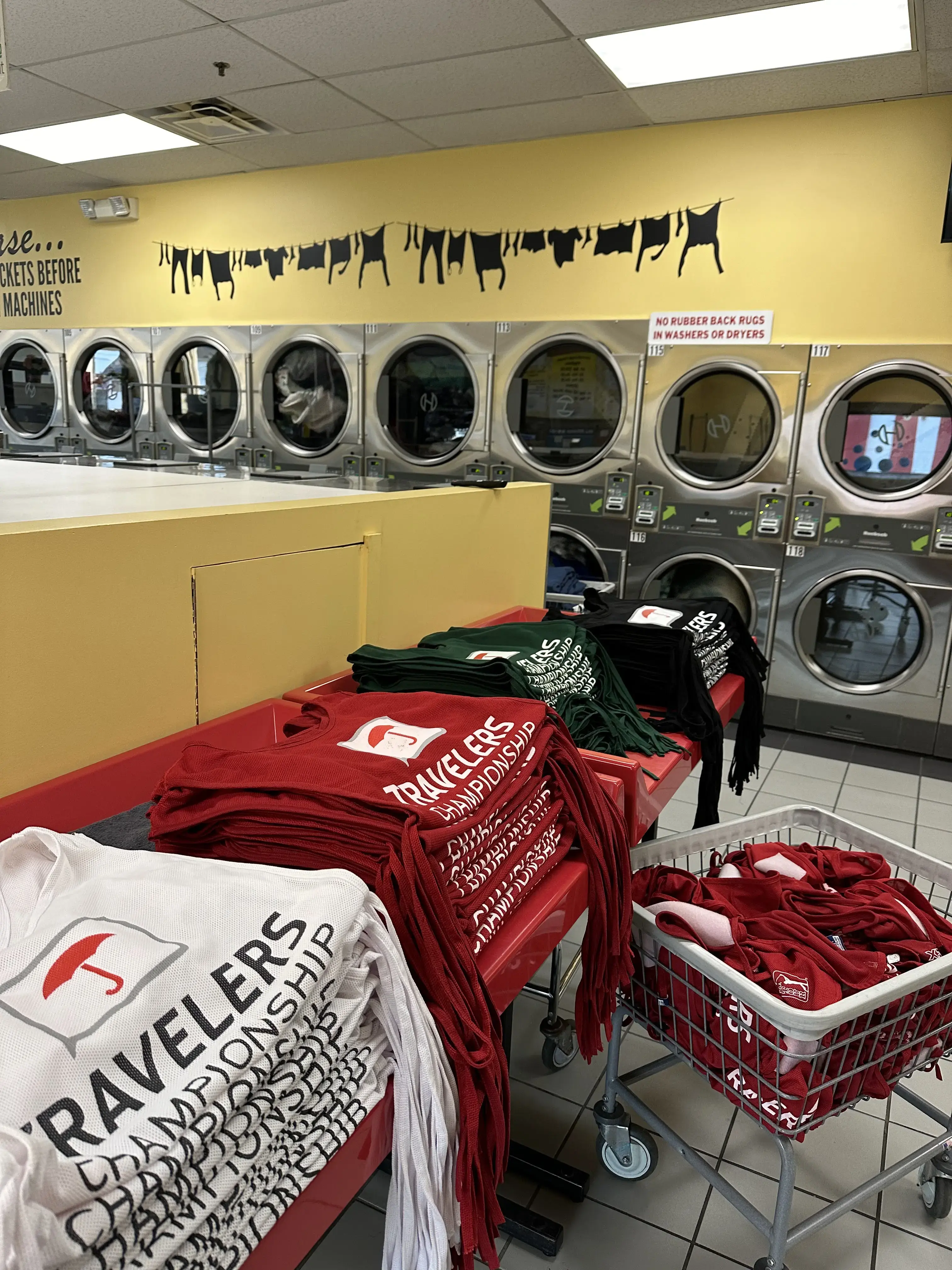 Sunny Suds Laundromat - Image 16